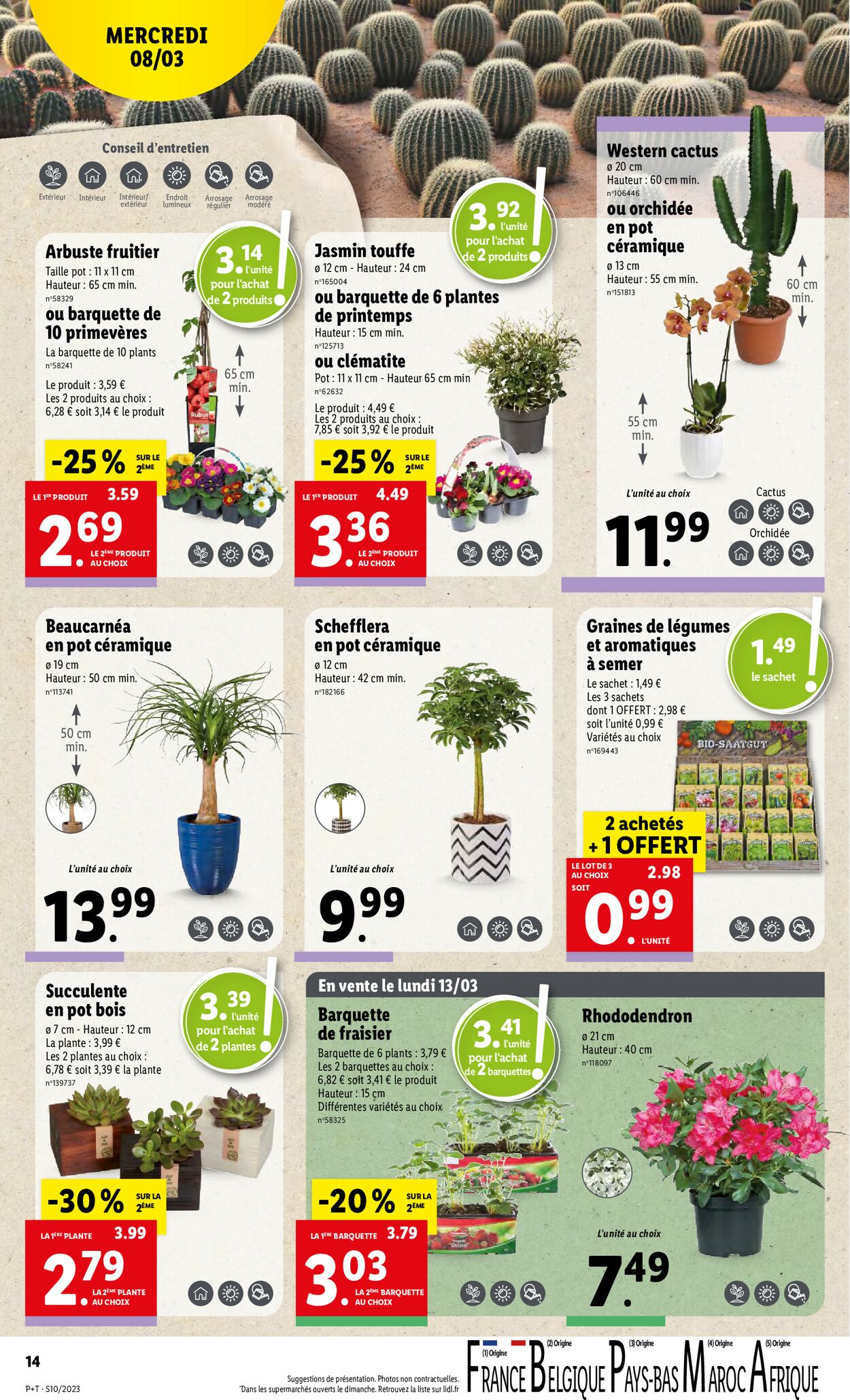 Lidl Catalogue - 08.03-14.03.2023 (Page 14)