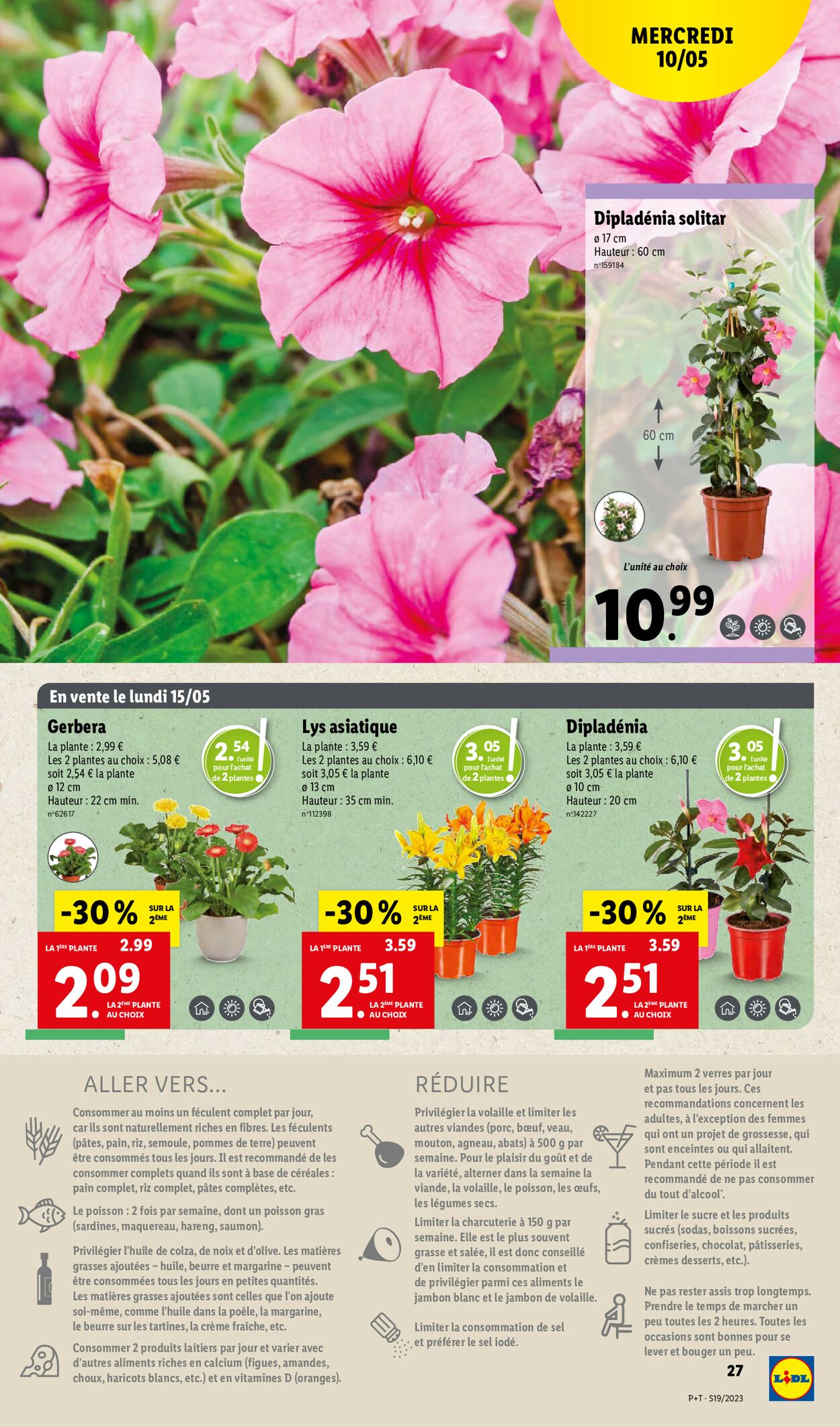 Lidl Catalogue - 10.05-16.05.2023 (Page 31)