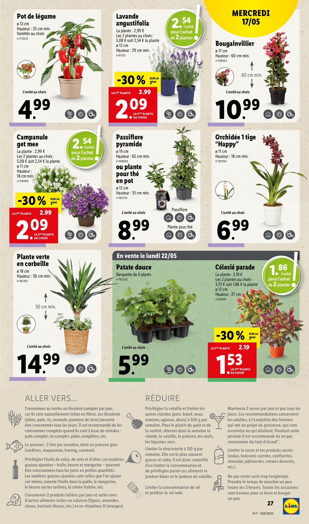 Lidl Catalogue - 17.05-23.05.2023 (Page 31)