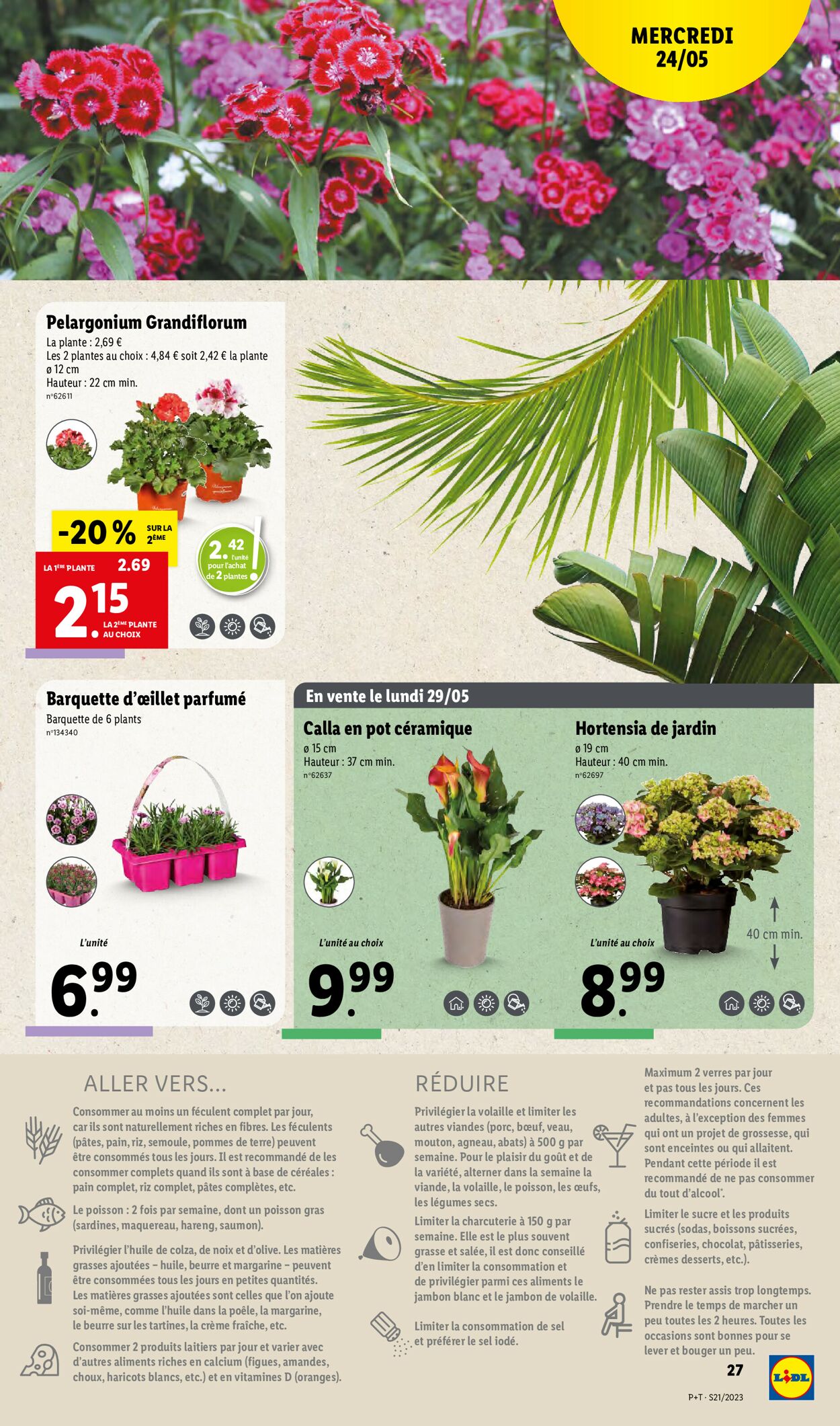 Lidl Catalogue - 24.05-30.05.2023 (Page 31)