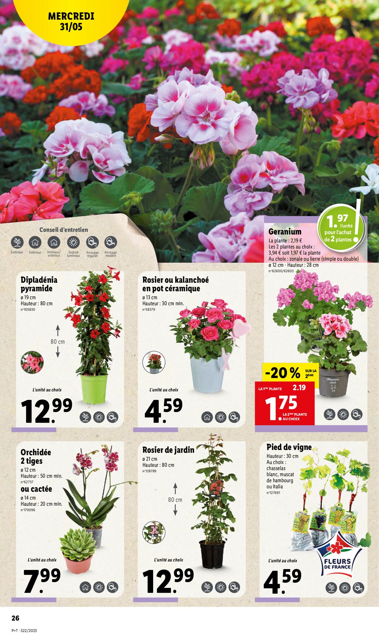 Lidl Catalogue - 31.05-06.06.2023 (Page 32)
