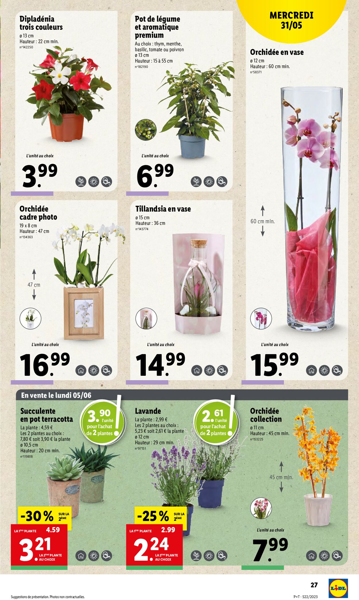 Lidl Catalogue - 31.05-06.06.2023 (Page 33)