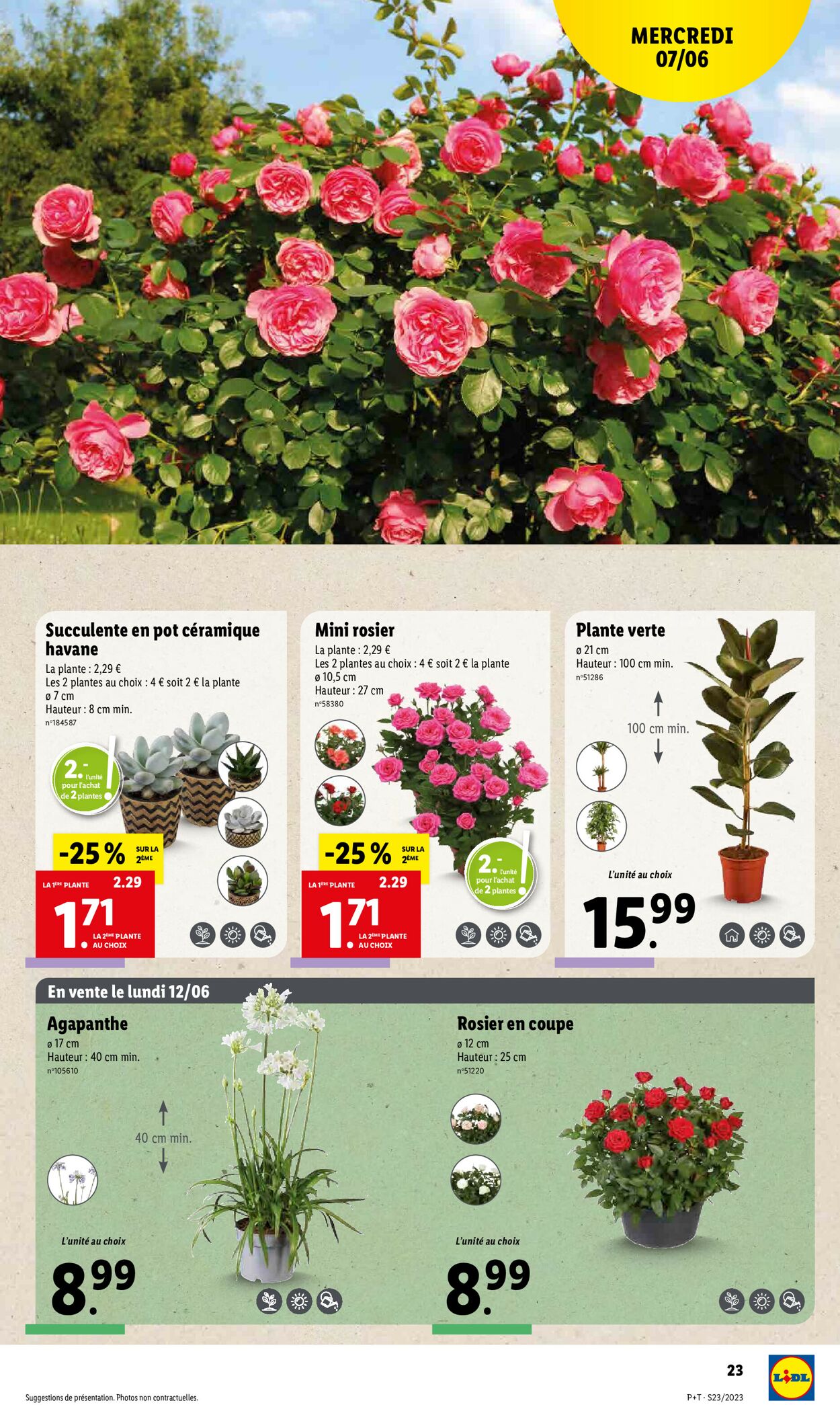 Lidl Catalogue - 07.06-13.06.2023 (Page 27)