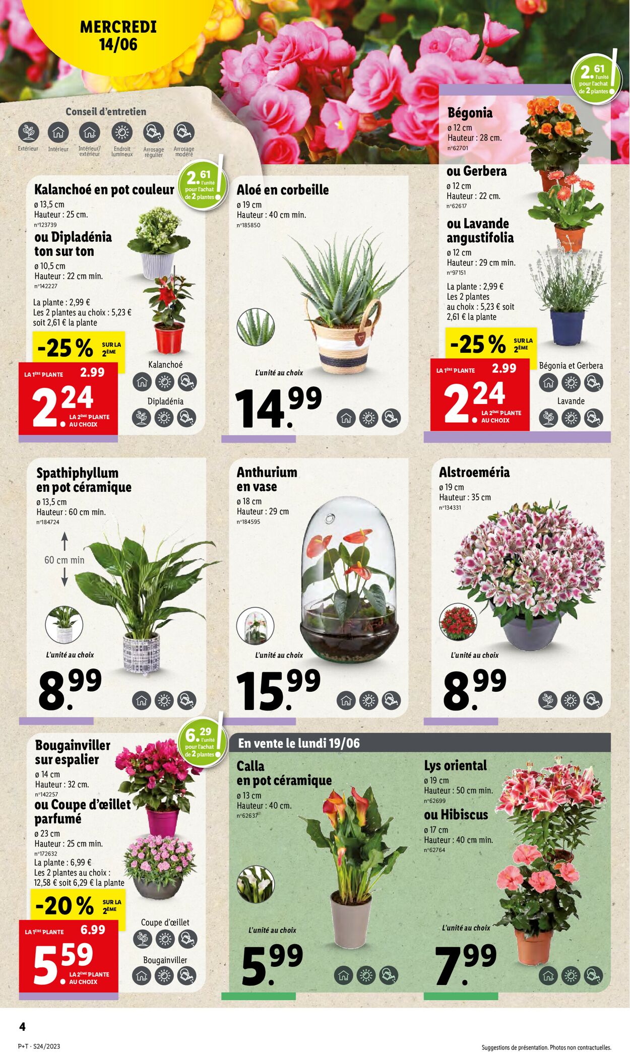 Lidl Catalogue - 14.06-20.06.2023 (Page 4)