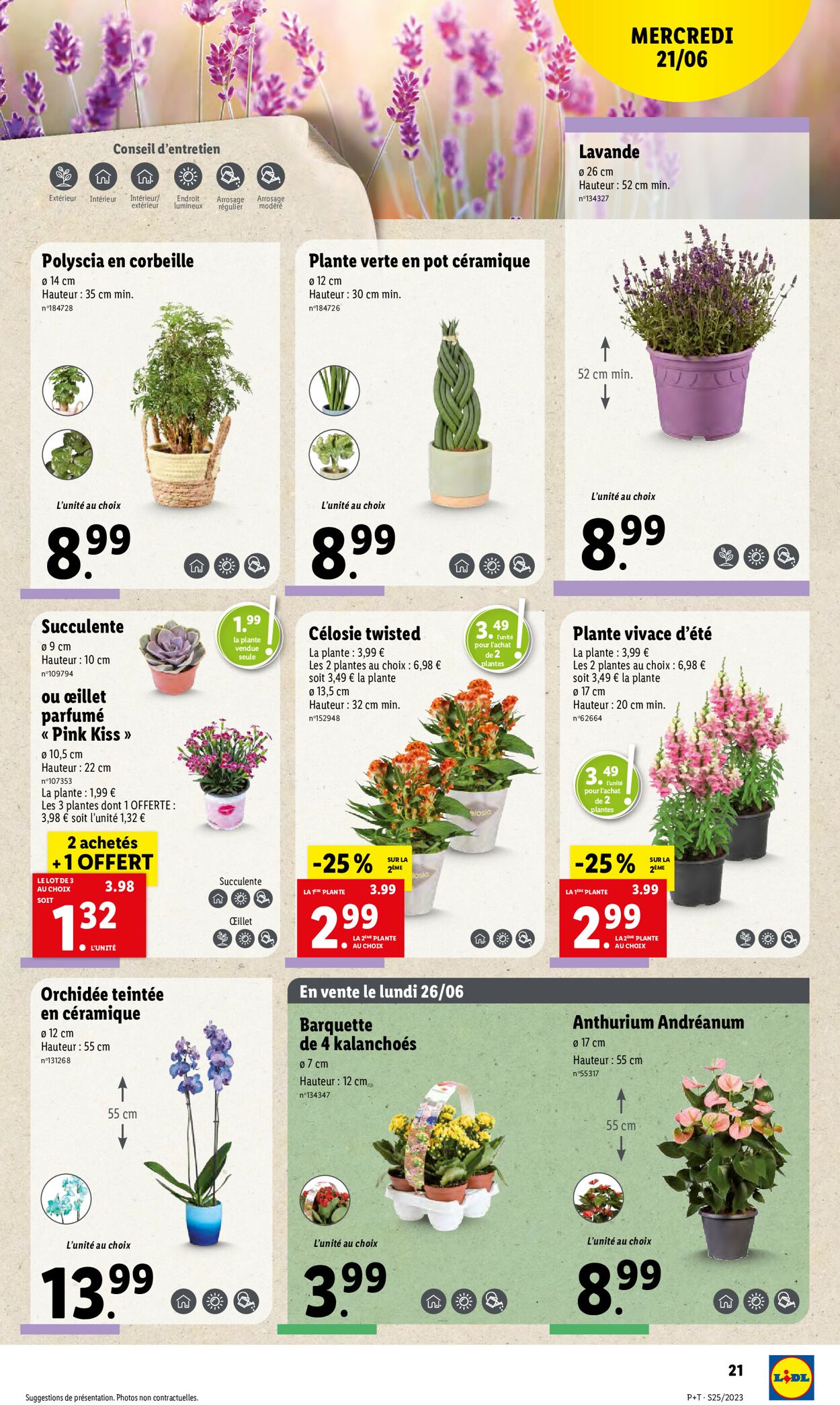 Lidl Catalogue - 21.06-27.06.2023 (Page 25)