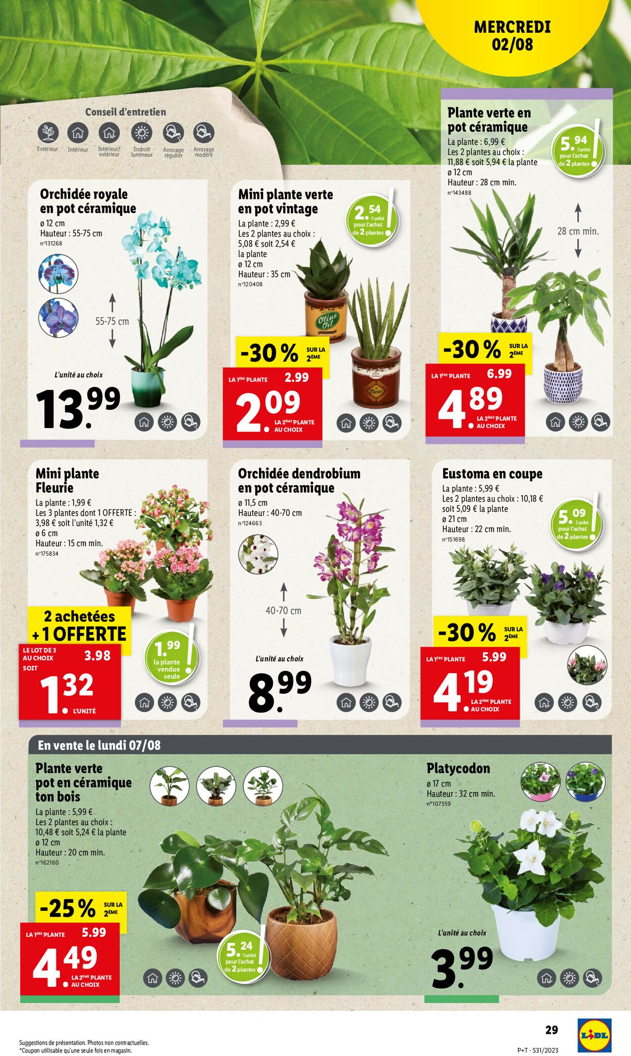 Lidl Catalogue - 02.08-08.08.2023 (Page 31)
