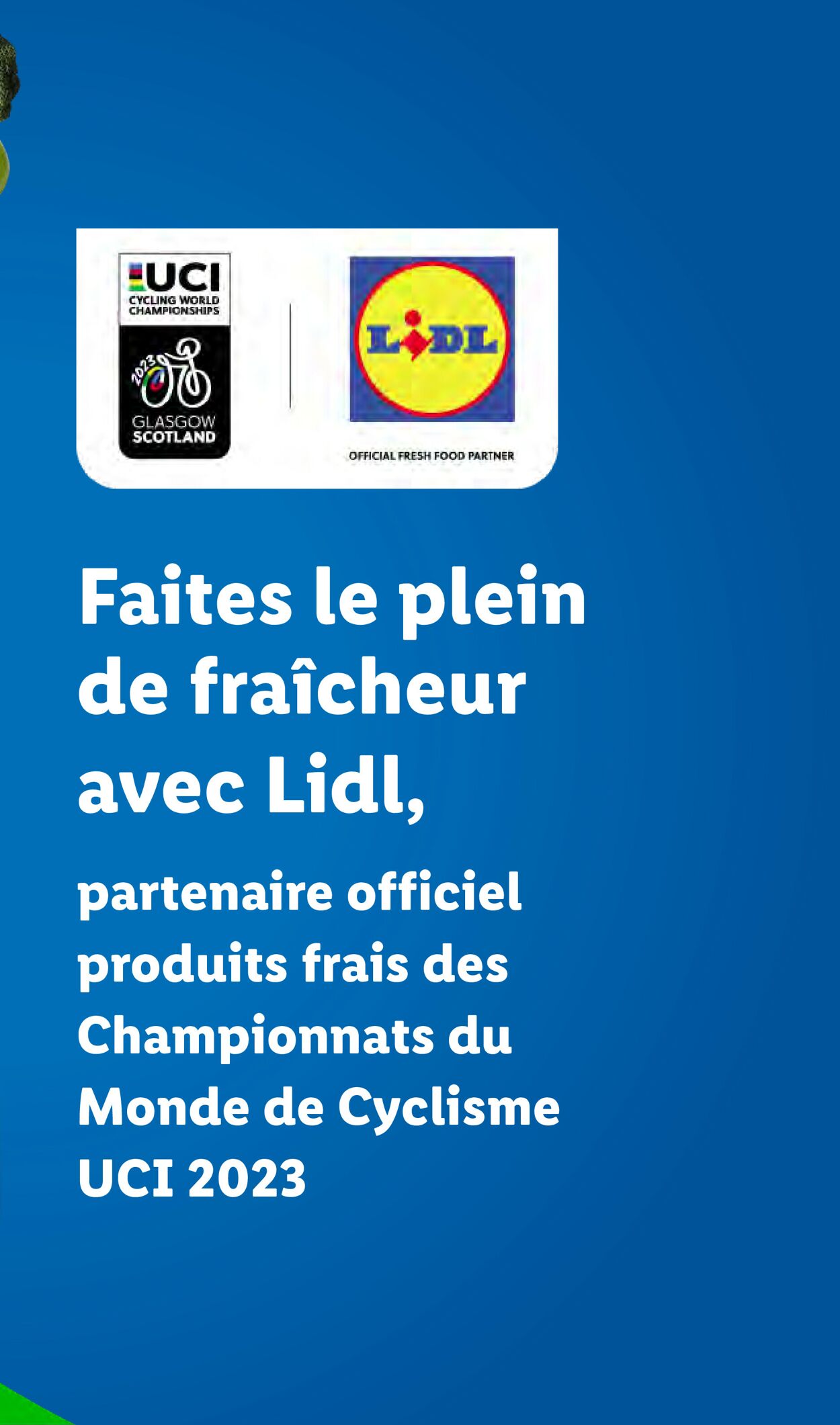 Lidl Catalogue - 09.08-15.08.2023 (Page 7)