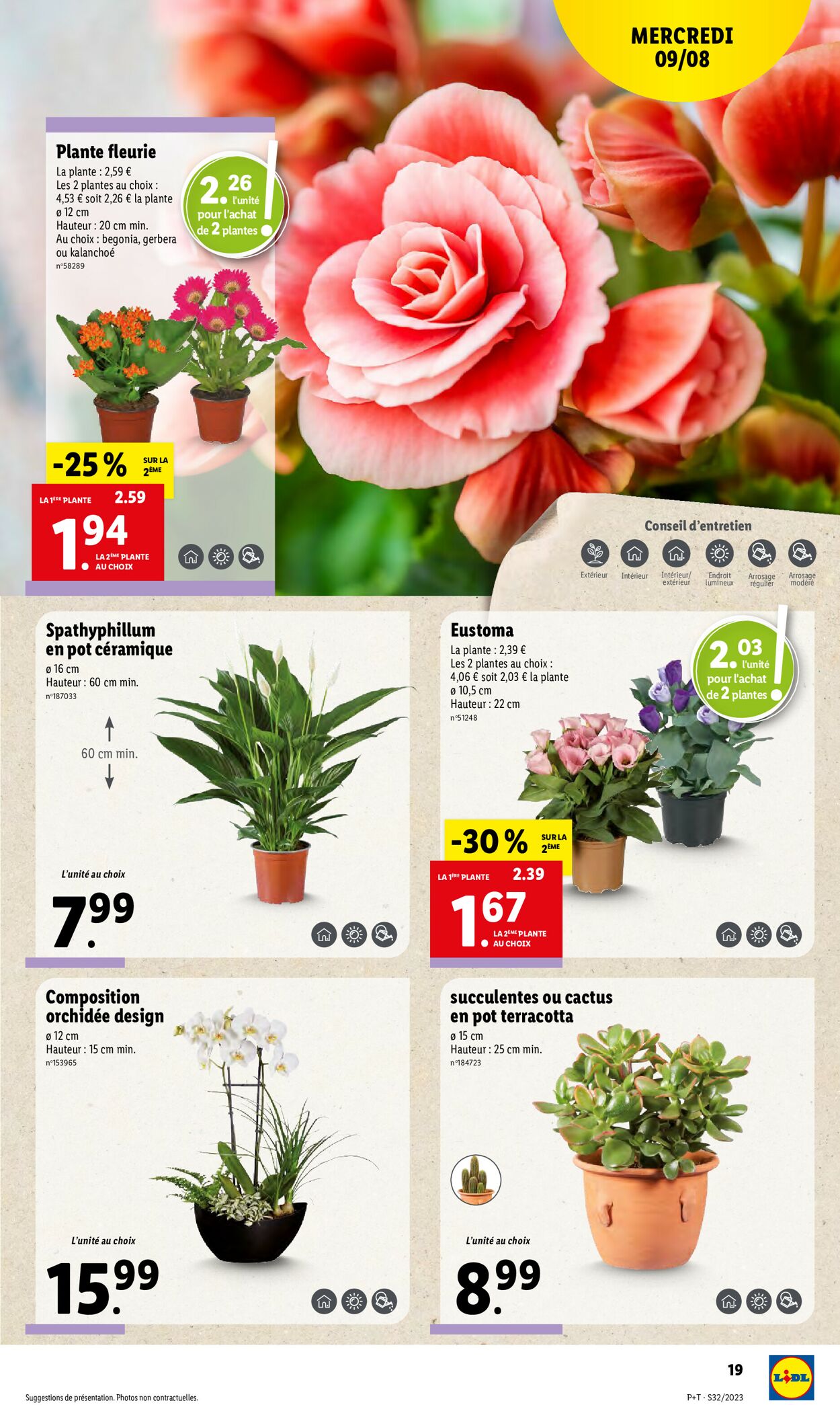 Lidl Catalogue - 09.08-15.08.2023 (Page 21)