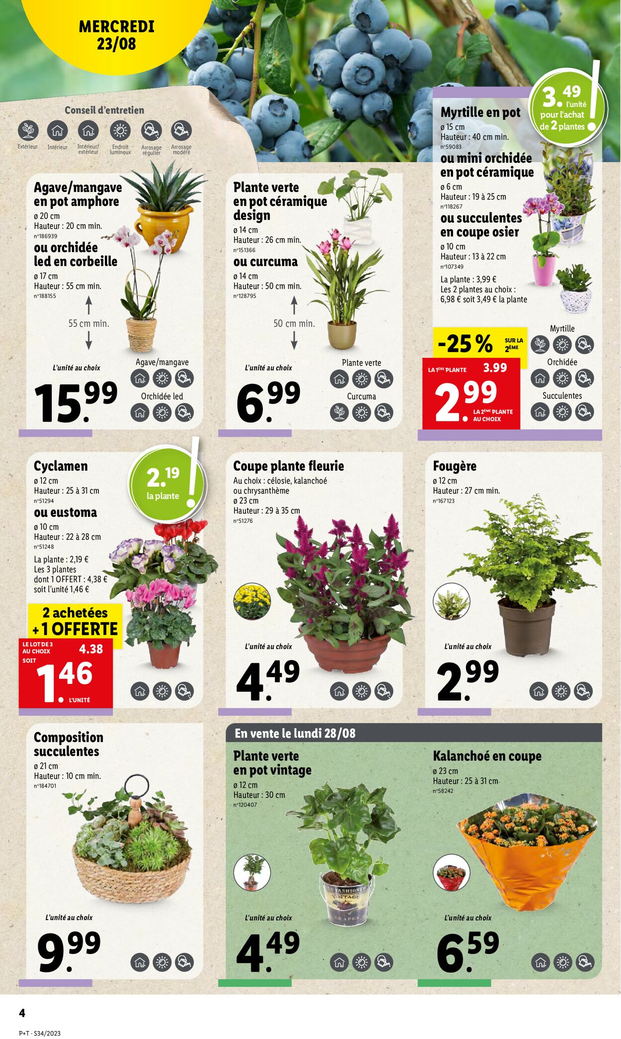 Lidl Catalogue - 23.08-29.08.2023 (Page 4)