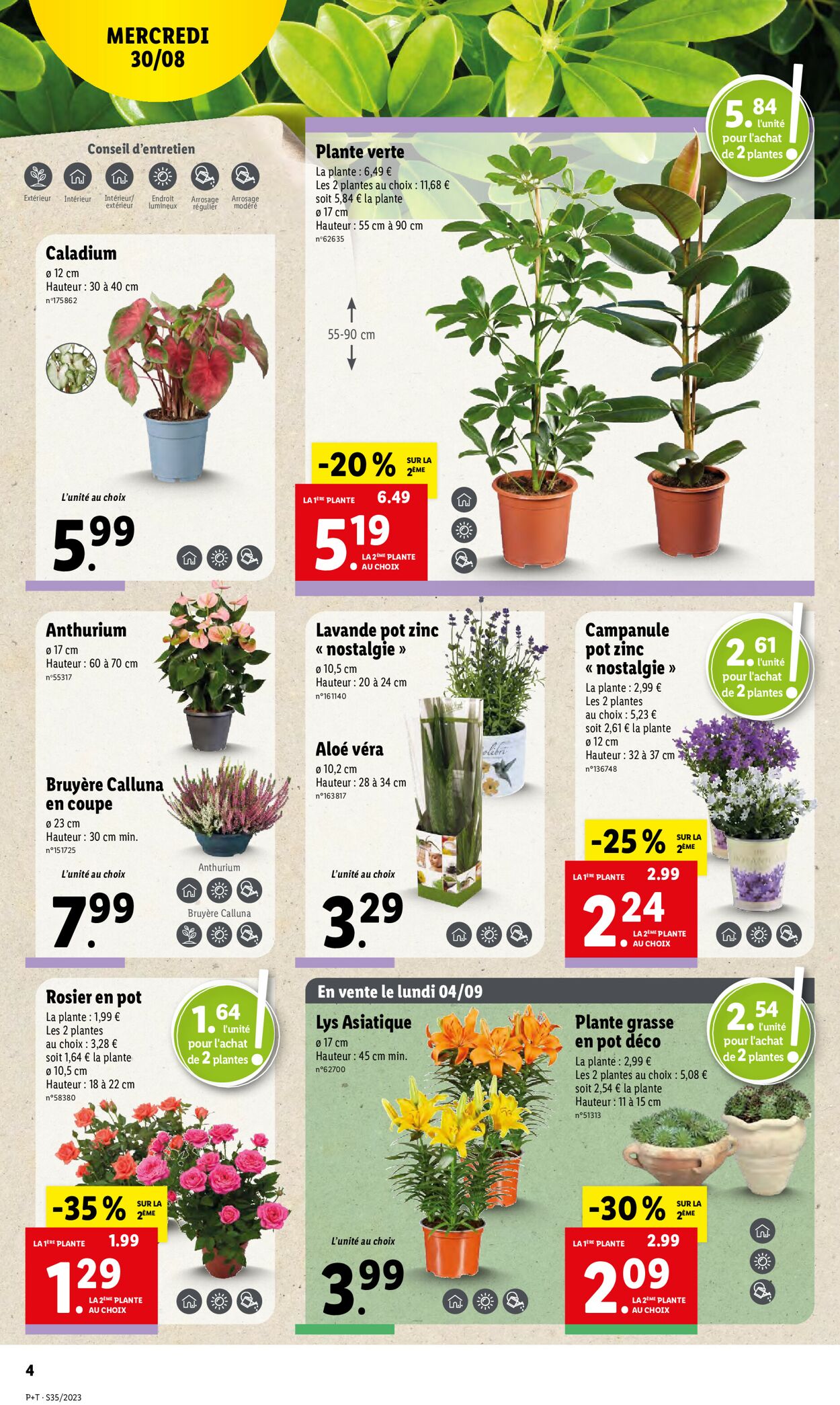 Lidl Catalogue - 30.08-05.09.2023 (Page 4)