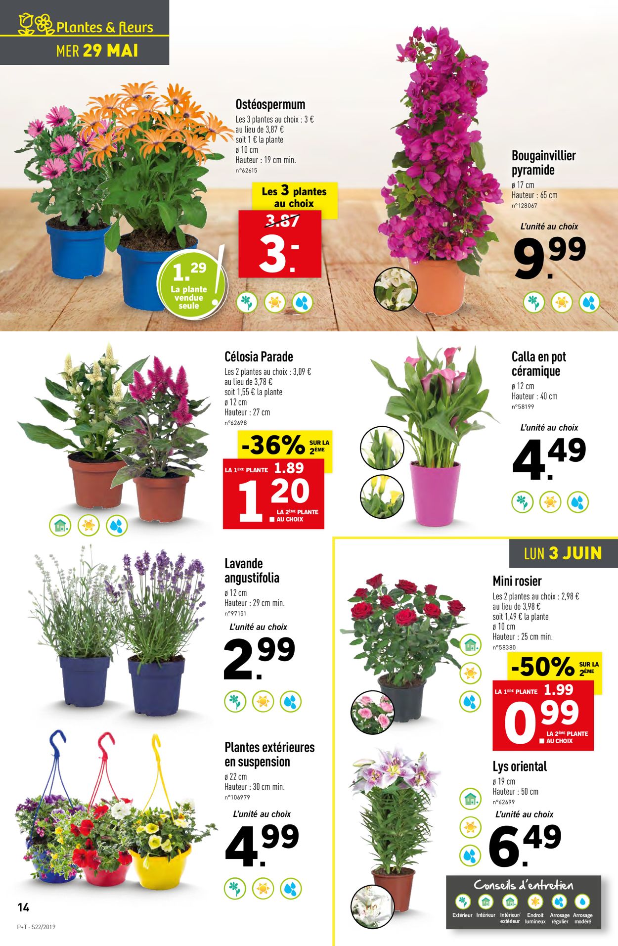 Lidl Catalogue - 29.05-04.06.2019 (Page 14)