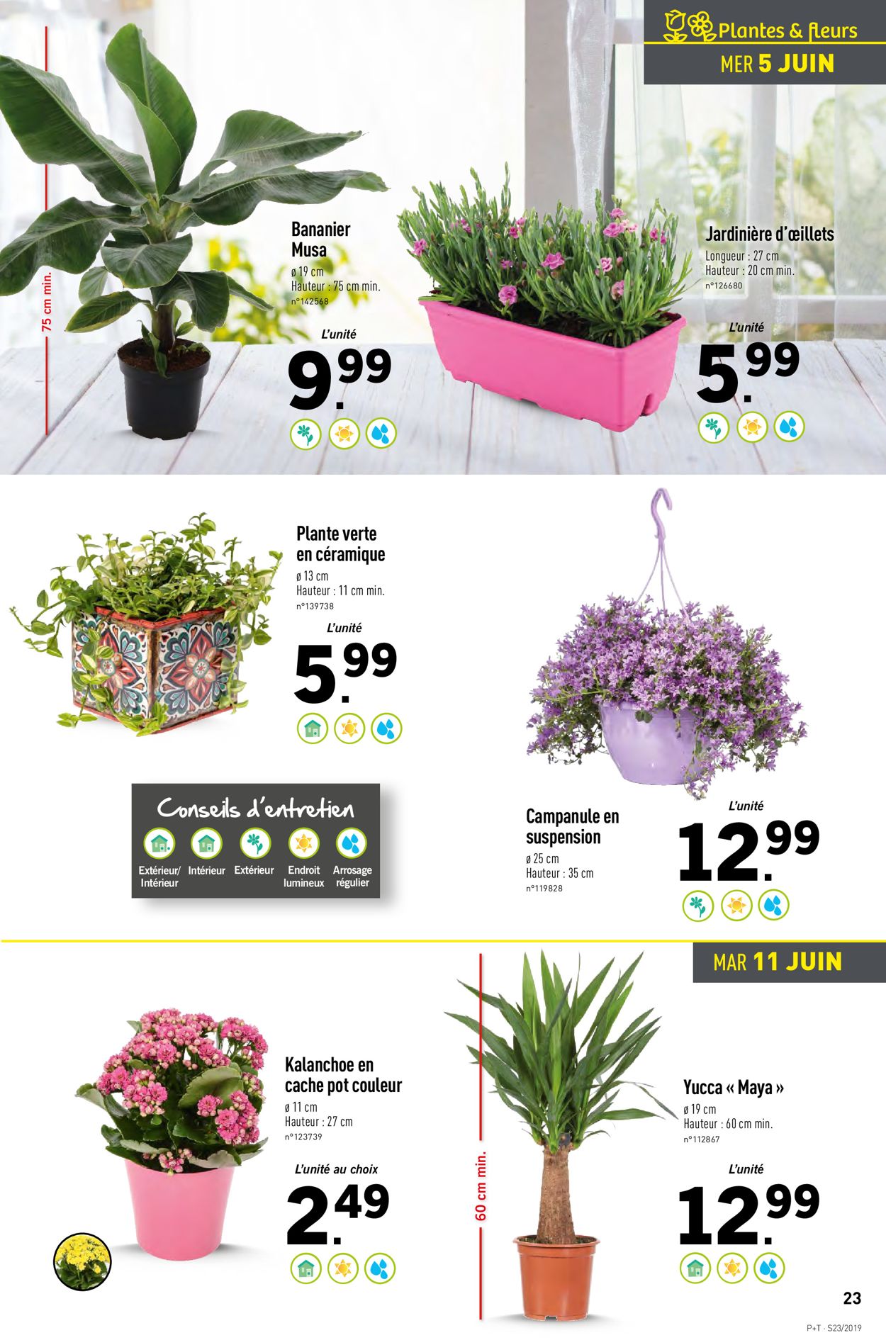 Lidl Catalogue - 05.06-11.06.2019 (Page 23)
