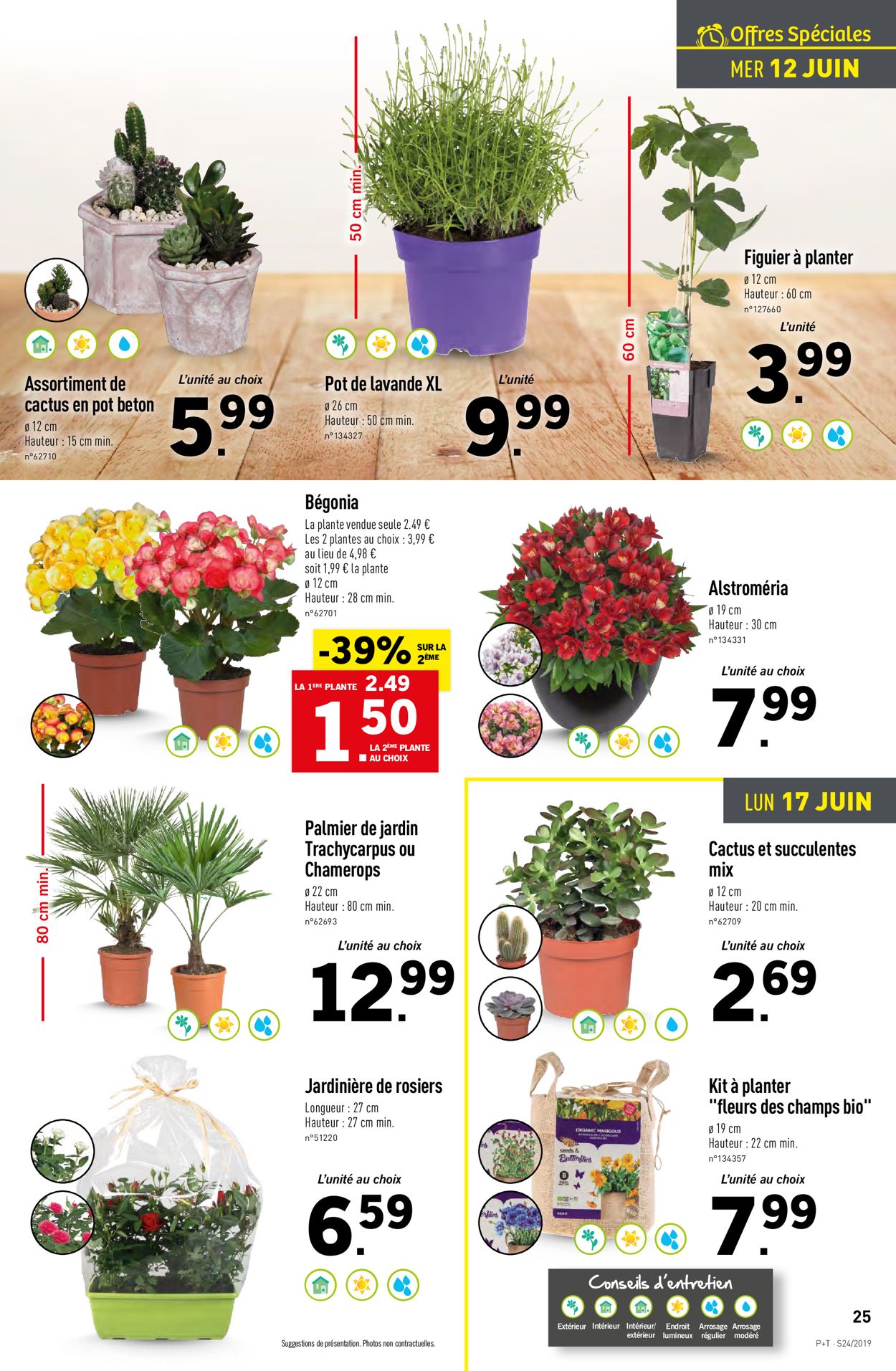 Lidl Catalogue - 12.06-18.06.2019 (Page 27)