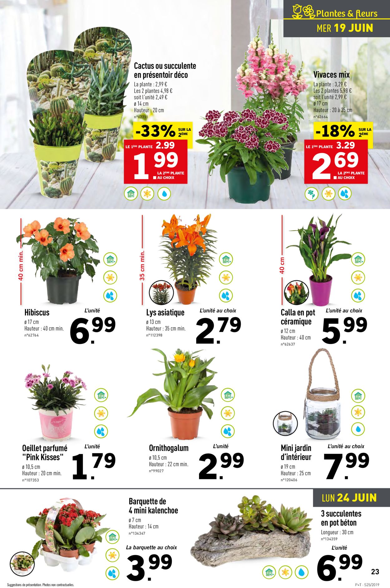 Lidl Catalogue - 19.06-25.06.2019 (Page 27)