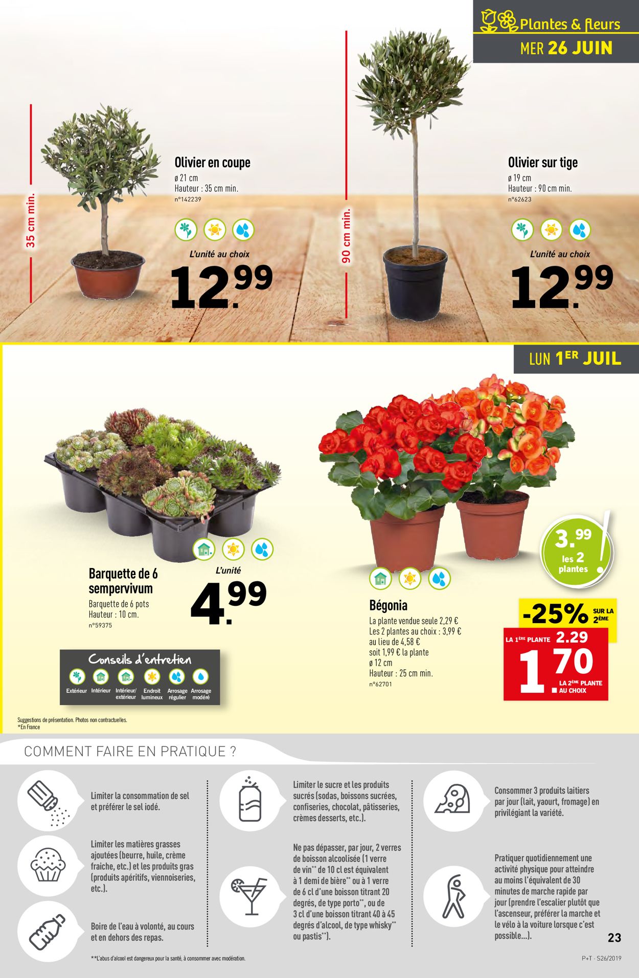 Lidl Catalogue - 26.06-02.07.2019 (Page 23)