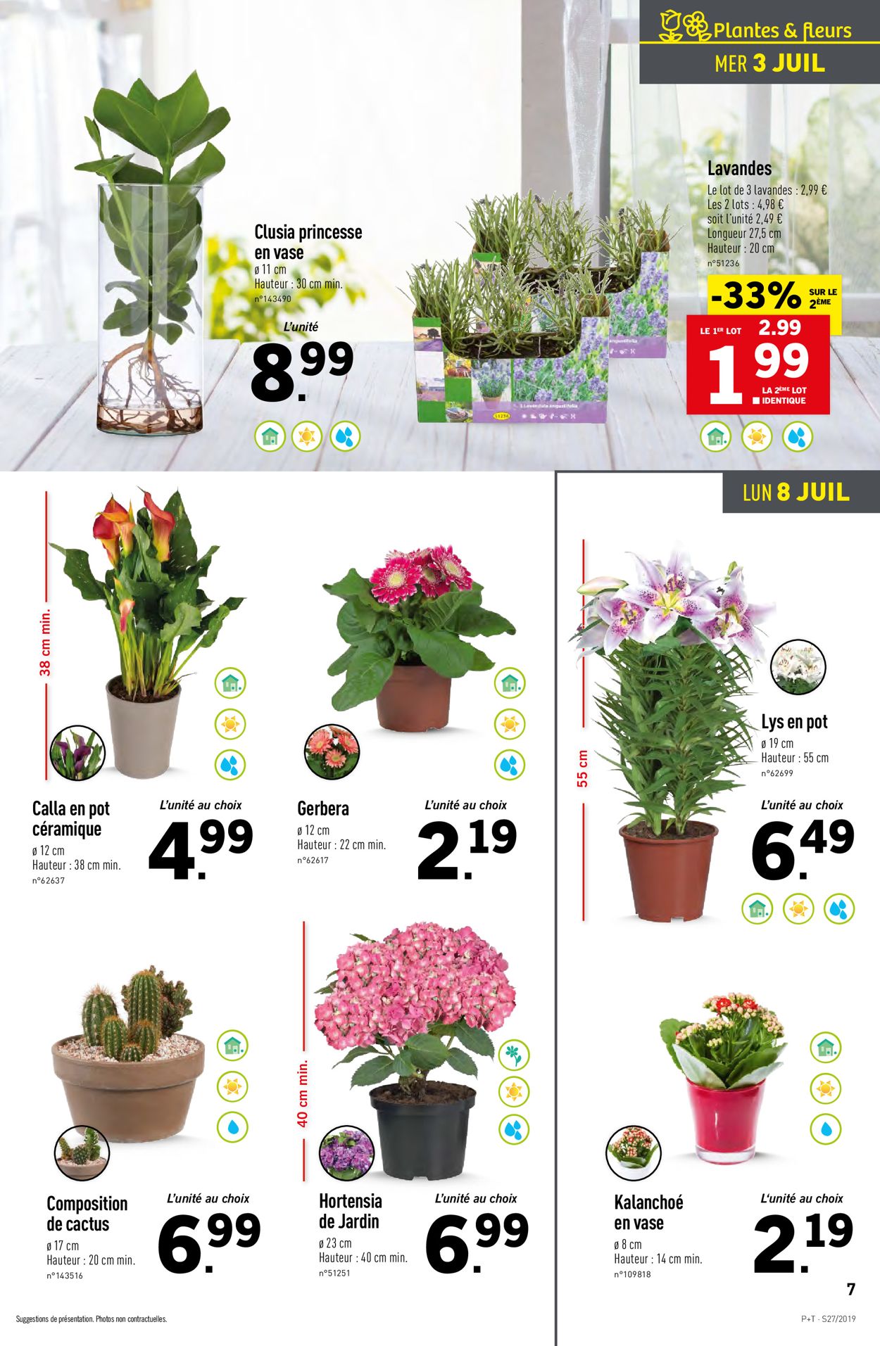 Lidl Catalogue - 03.07-09.07.2019 (Page 7)