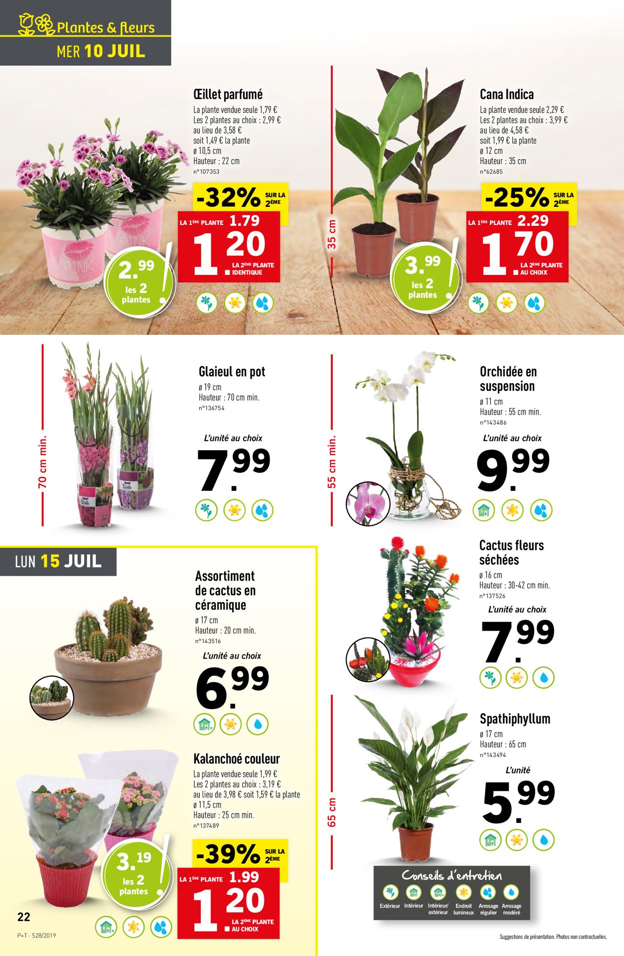 Lidl Catalogue - 10.07-16.07.2019 (Page 22)
