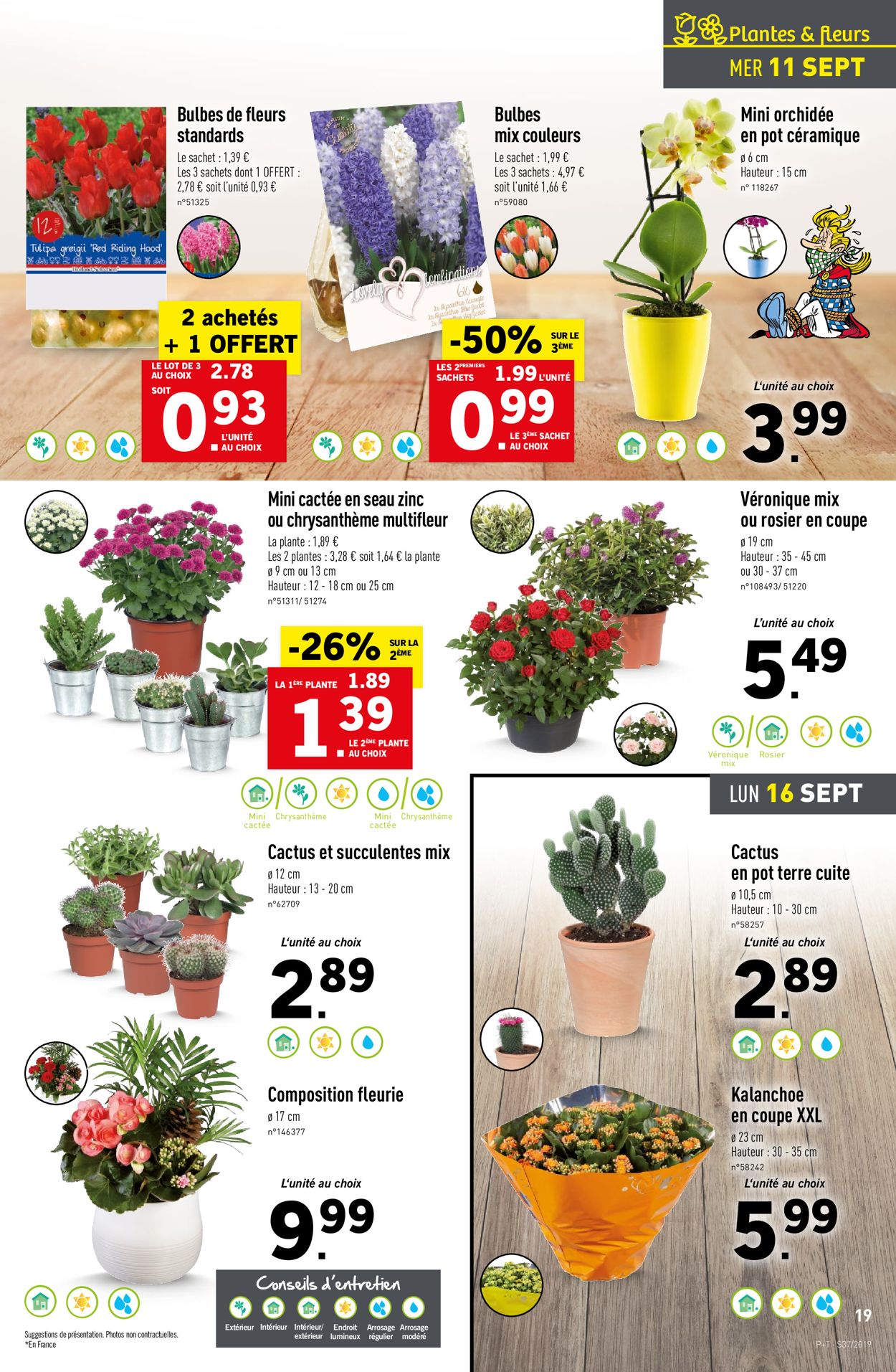 Lidl Catalogue - 11.09-17.09.2019 (Page 19)