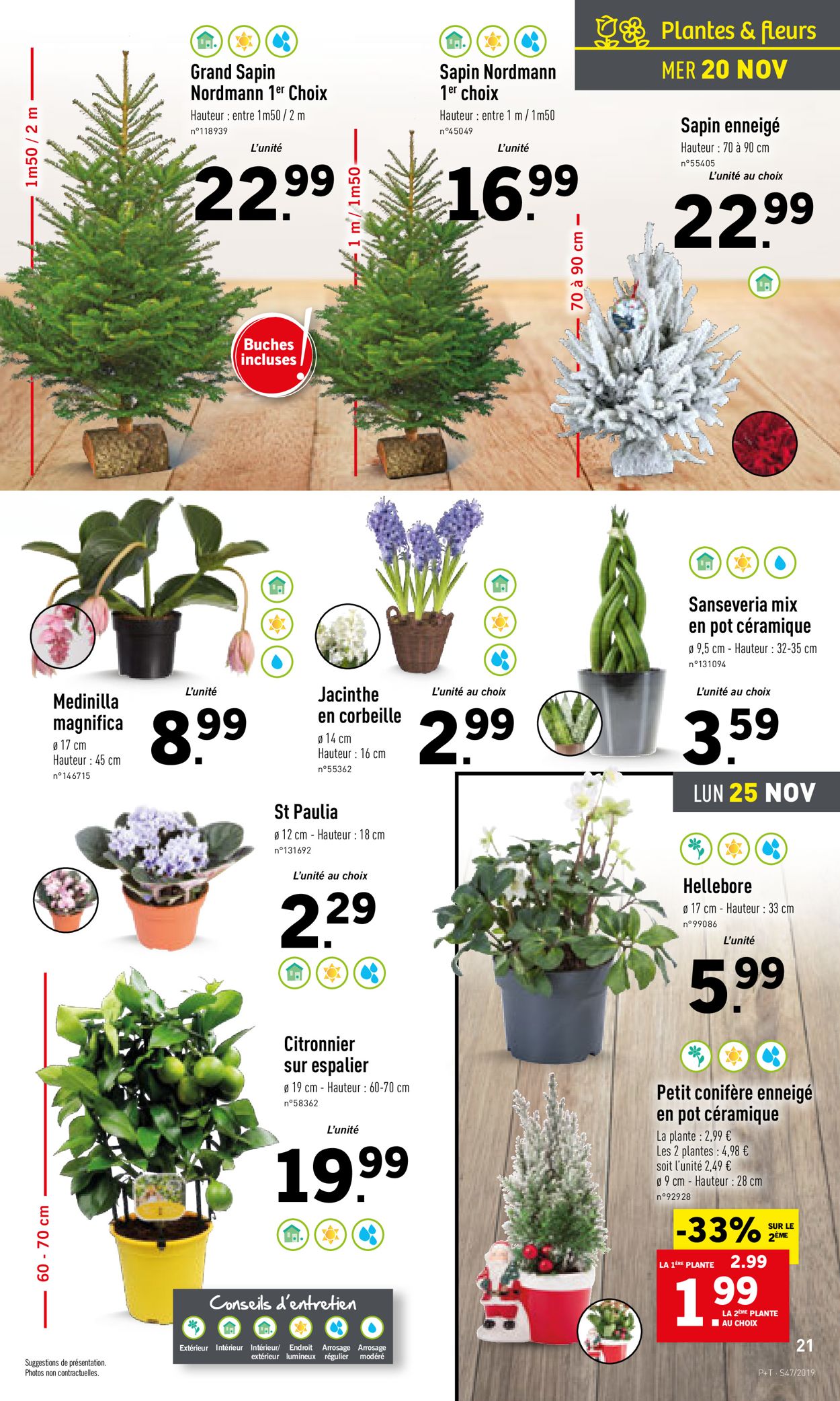 Lidl Catalogue - 20.11-26.11.2019 (Page 21)