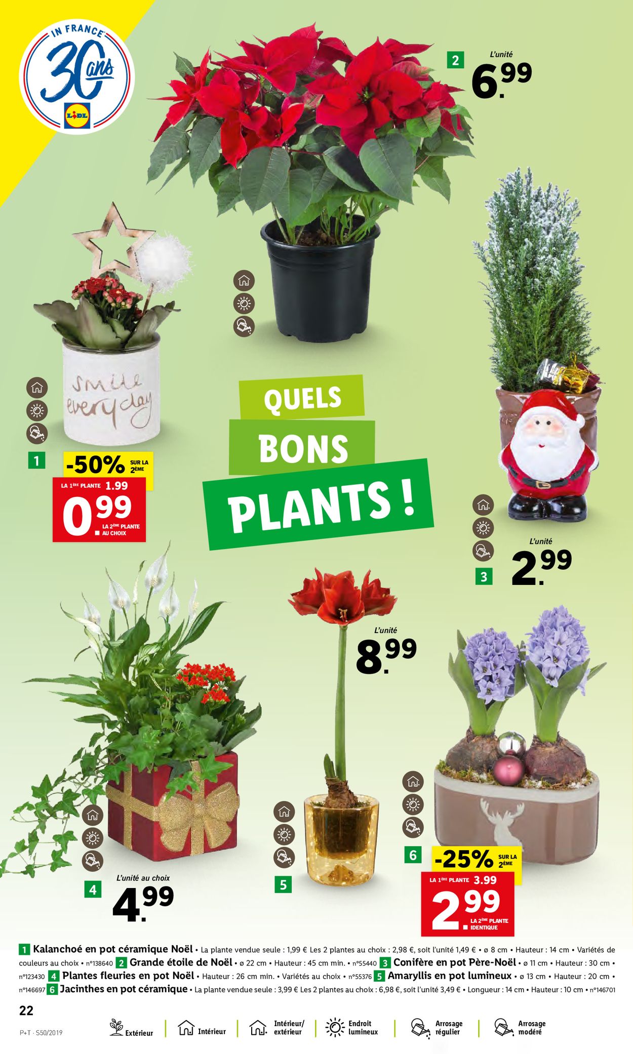 Lidl Catalogue - 11.12-17.12.2019 (Page 22)