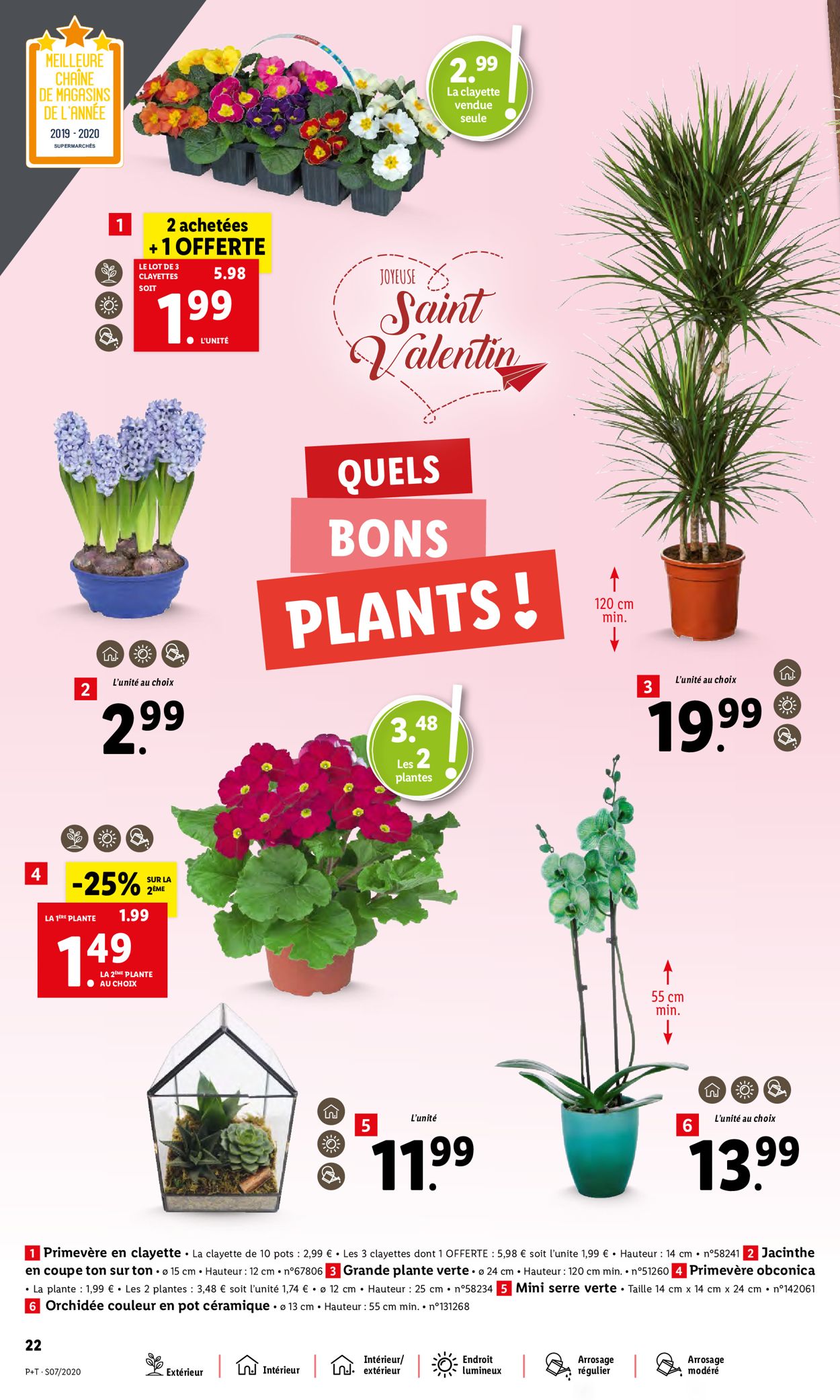 Lidl Catalogue - 12.02-18.02.2020 (Page 22)