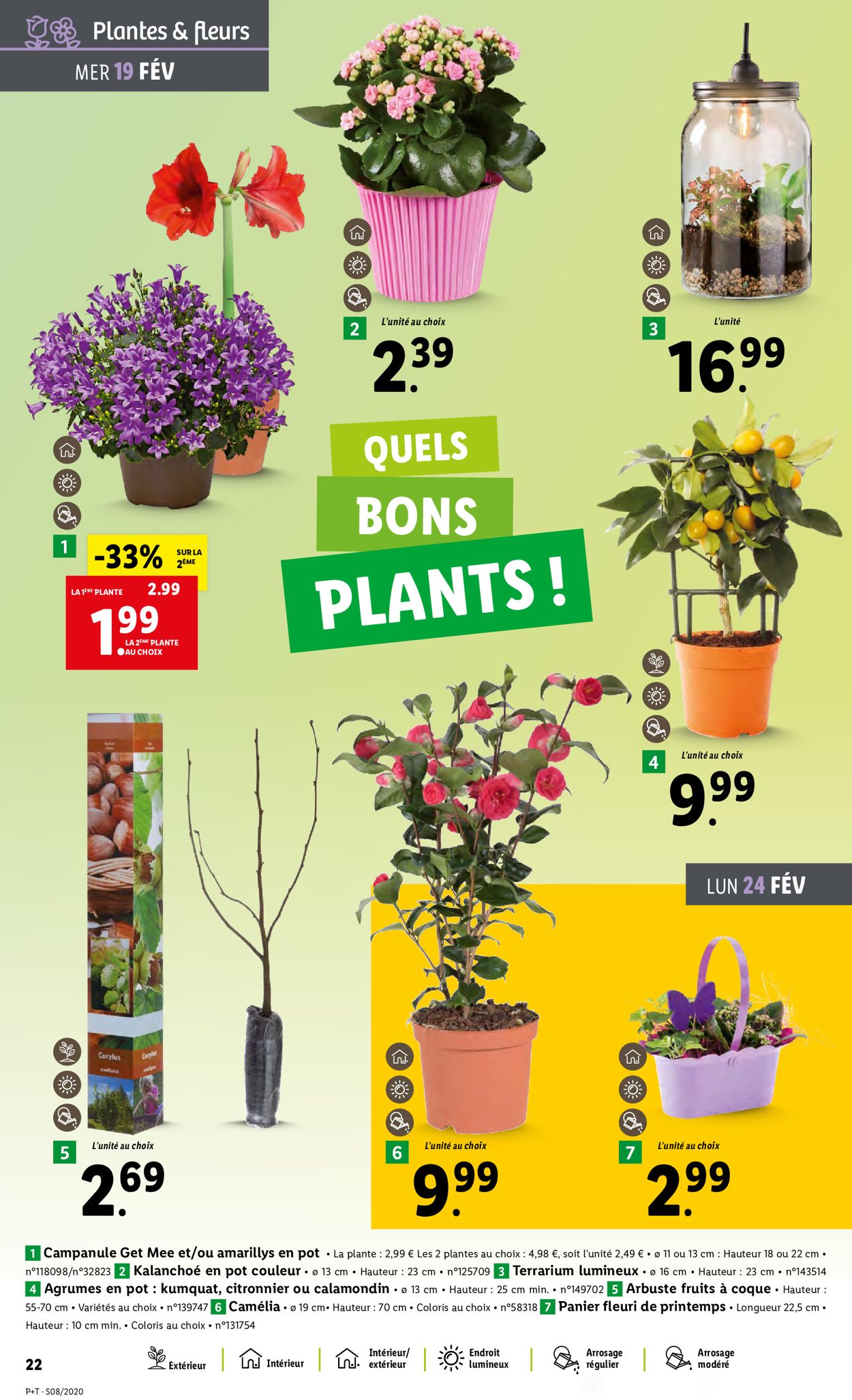 Lidl Catalogue - 19.02-25.02.2020 (Page 24)