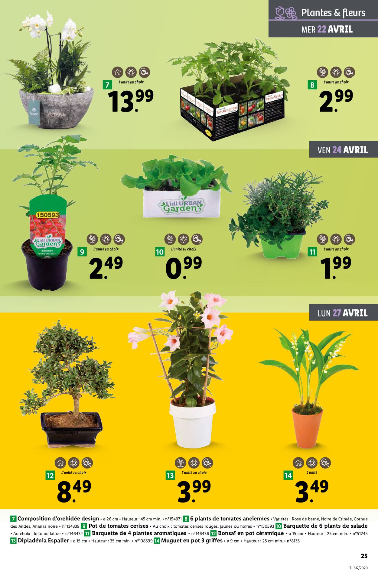 Lidl Catalogue - 22.04-28.04.2020 (Page 25)