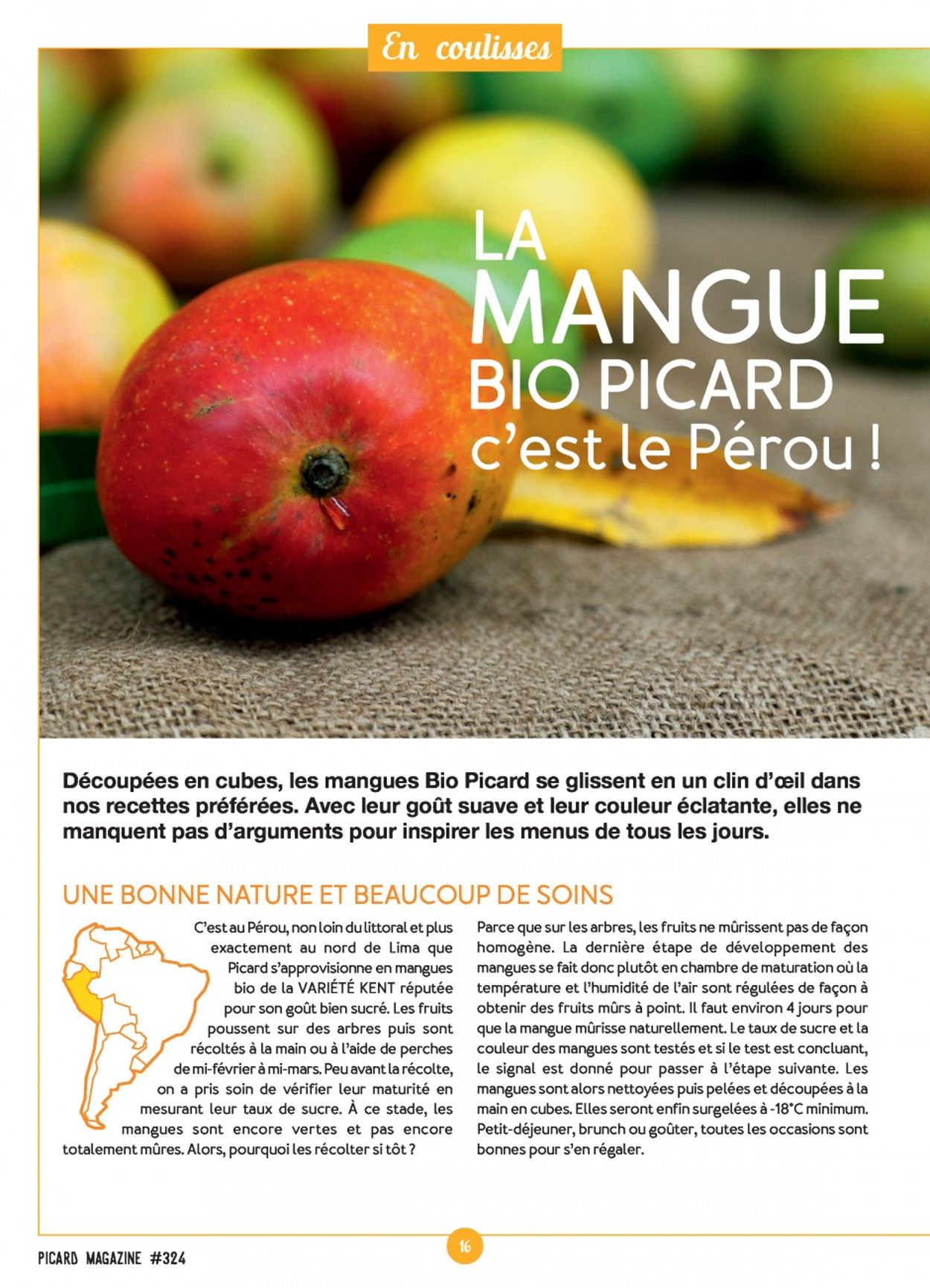 Picard Catalogue - 06.01-01.03.2020 (Page 16)