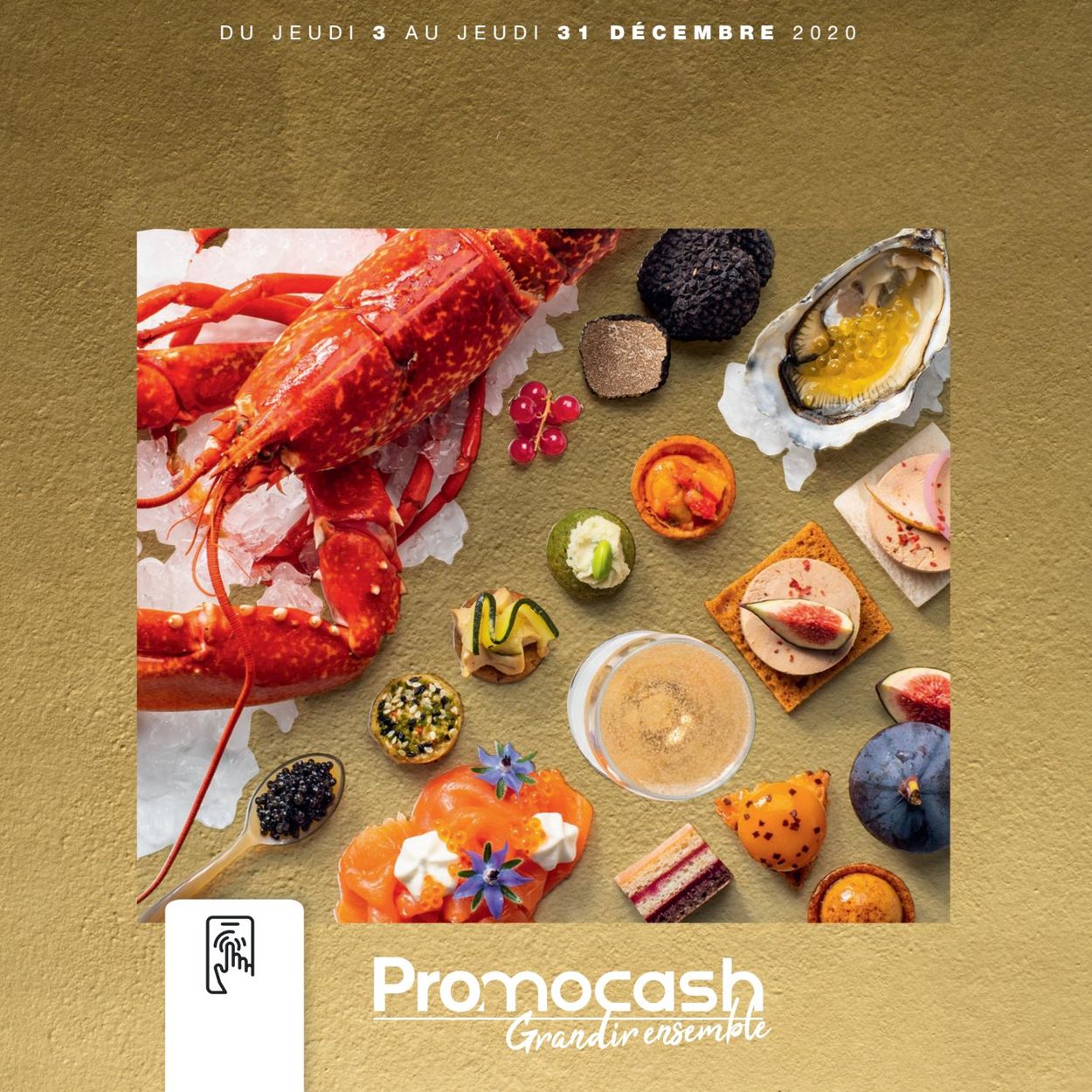 Promocash Catalogue - 08.11-31.12.2020