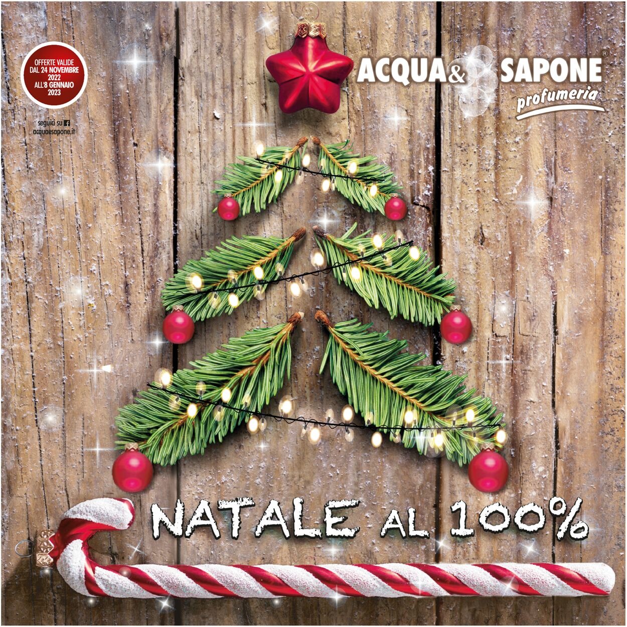 Volantino Acqua & Sapone - Offerte 24/11-08/01/2023