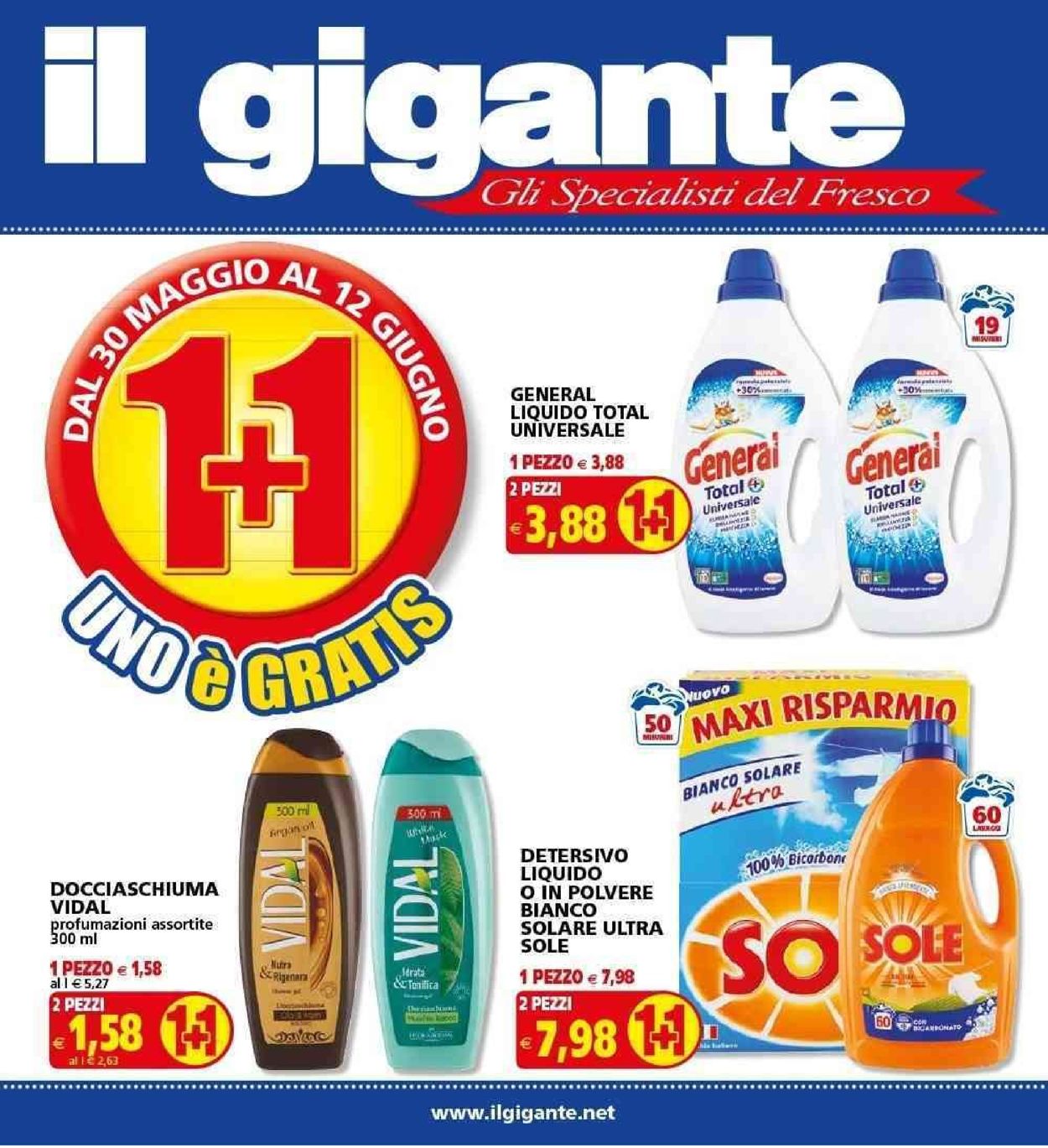 Volantino Il Gigante - Offerte 30/05-12/06/2019