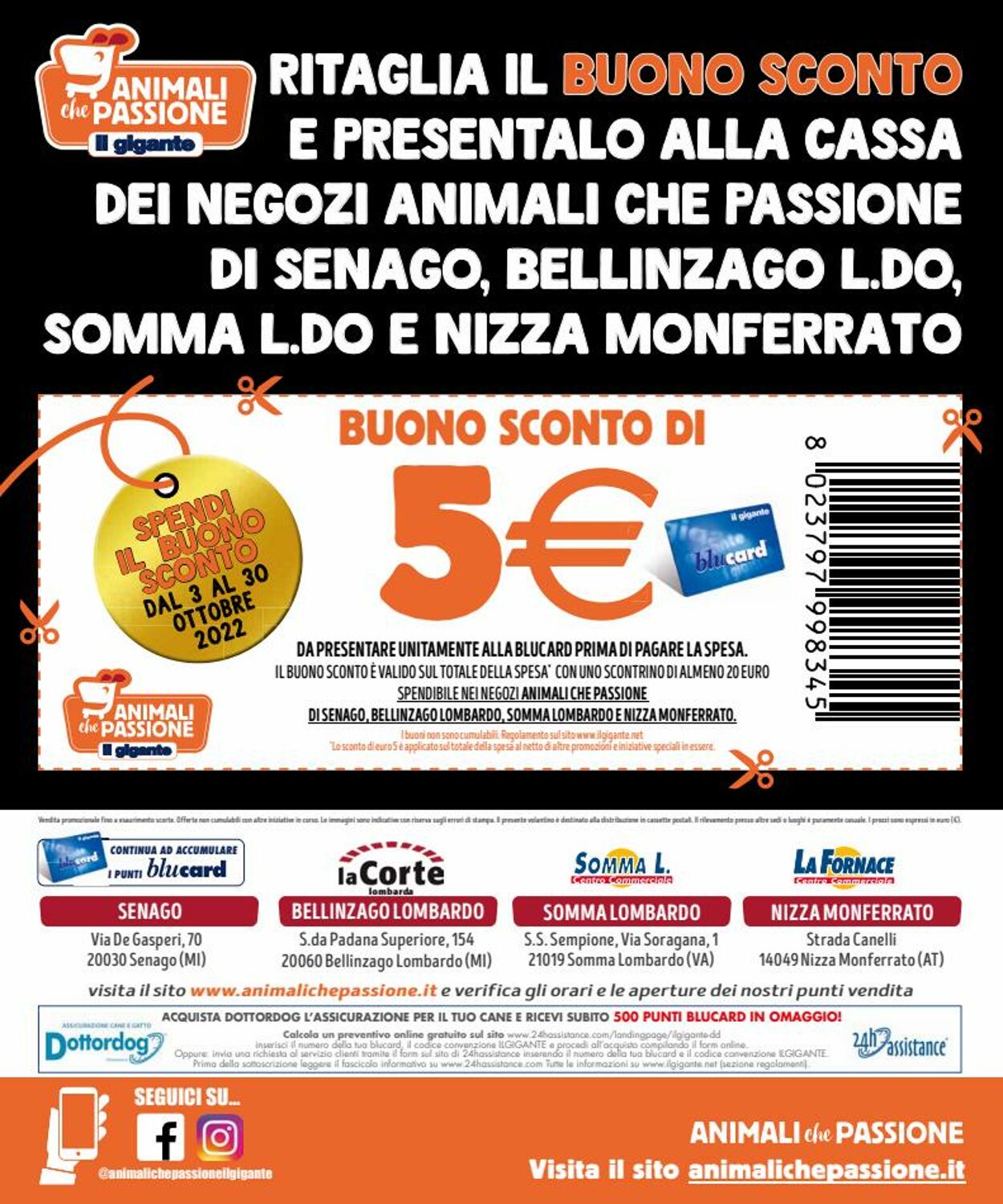 Volantino Il Gigante - Offerte 03/10-30/10/2022 (Pagina 8)