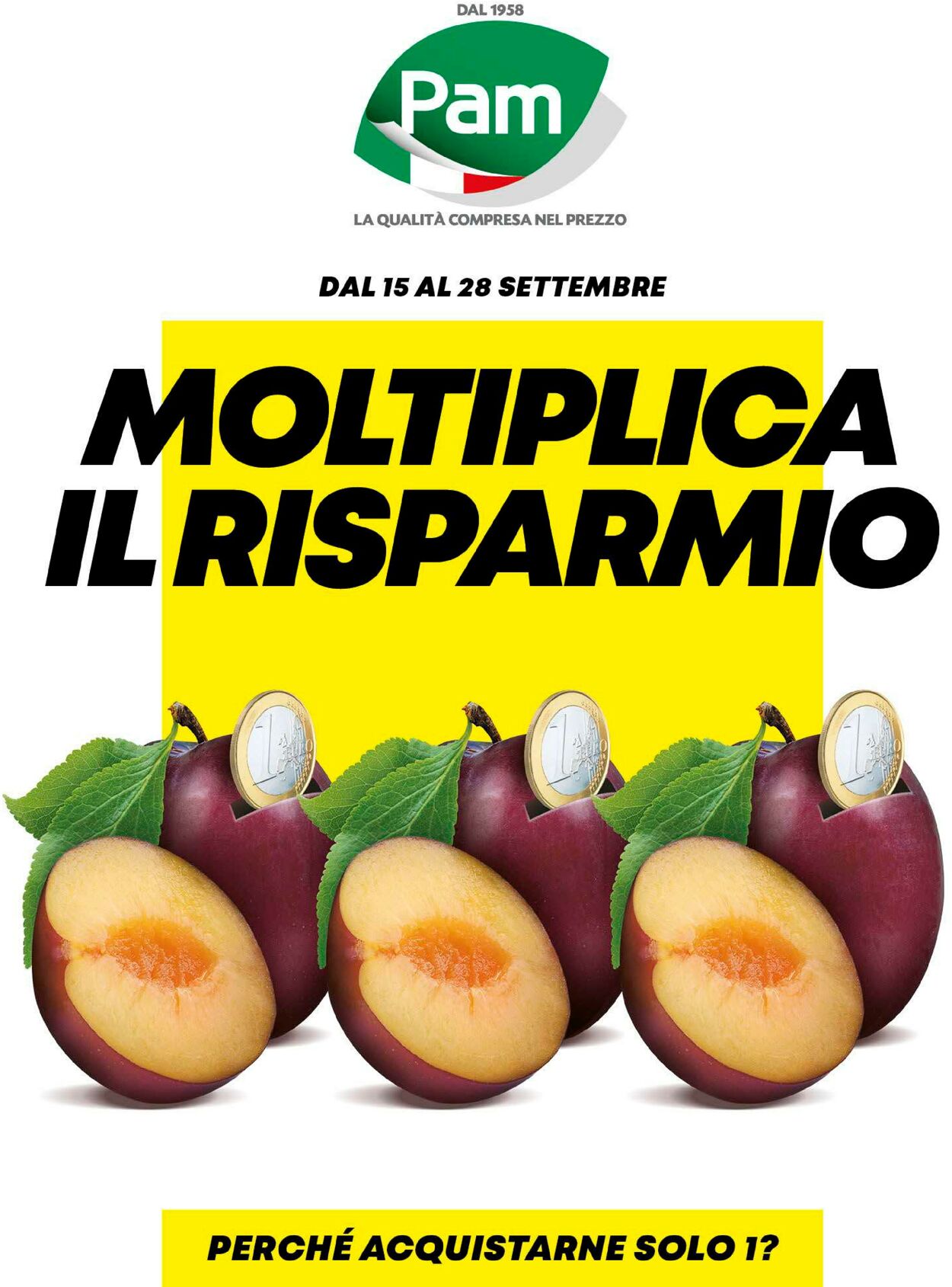 Volantino Pam Panorama - Offerte 15/09-28/09/2022
