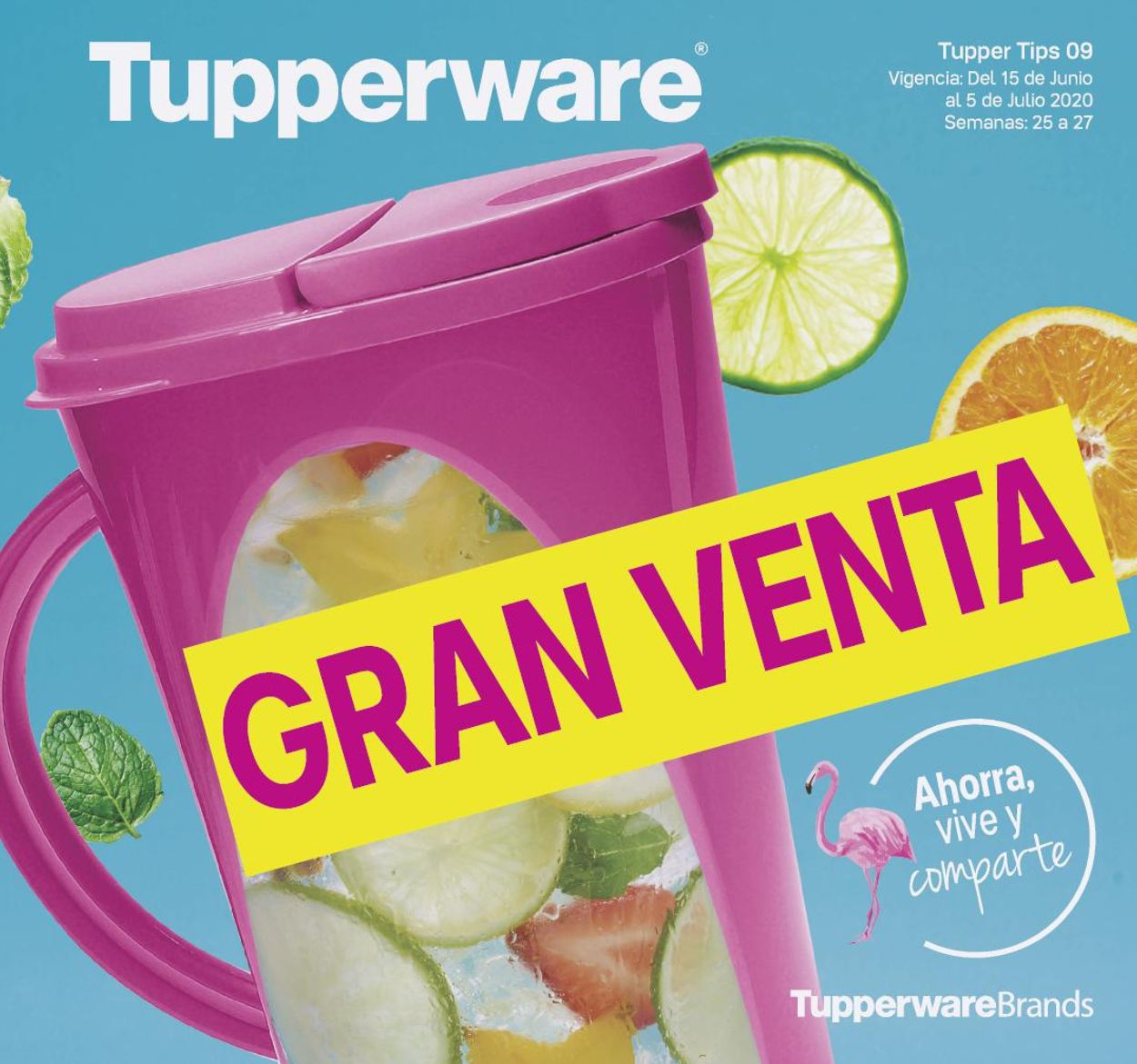 Tupperware Folleto - 15.06-05.07.2020