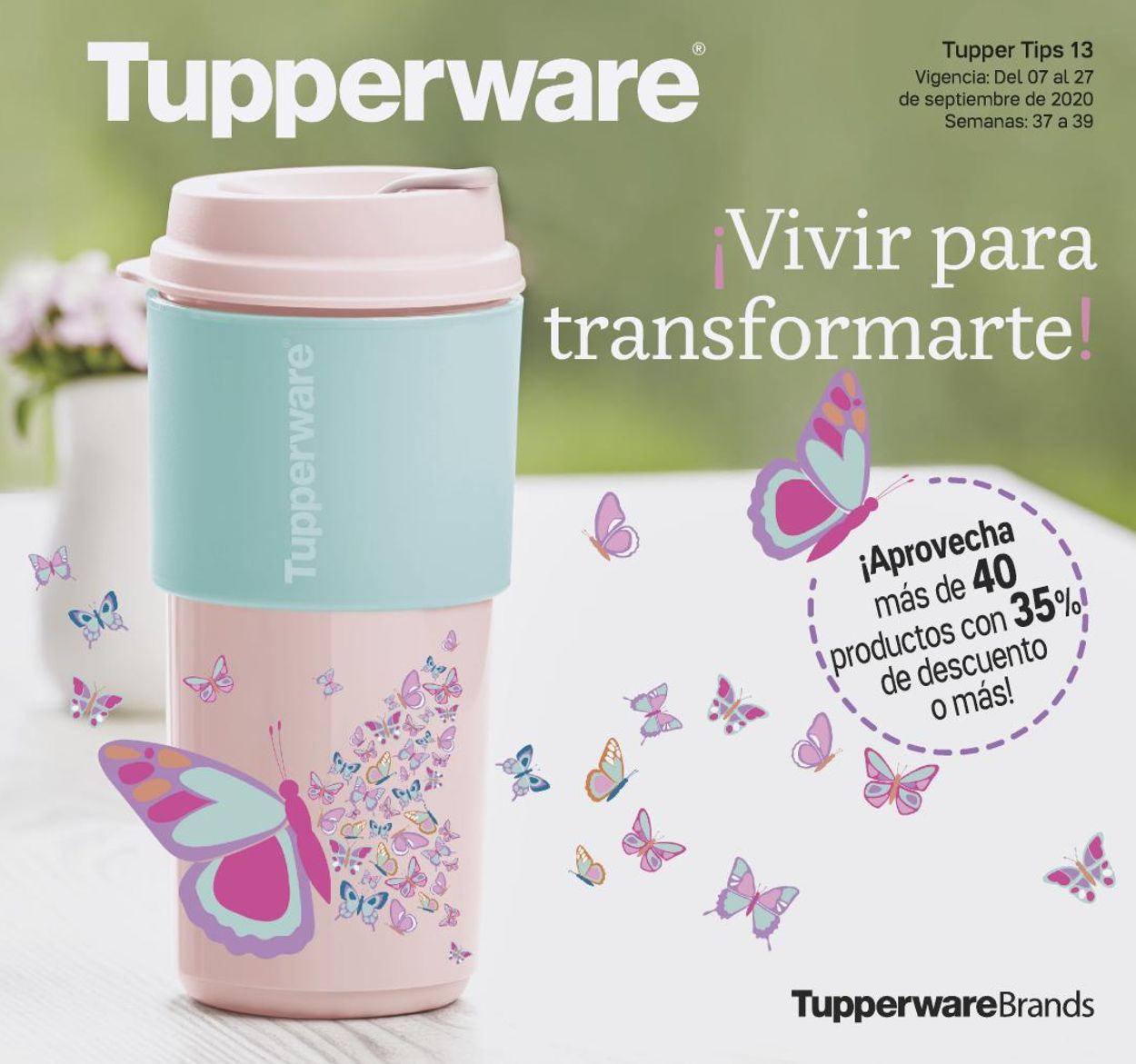 Tupperware Folleto - 07.09-27.09.2020