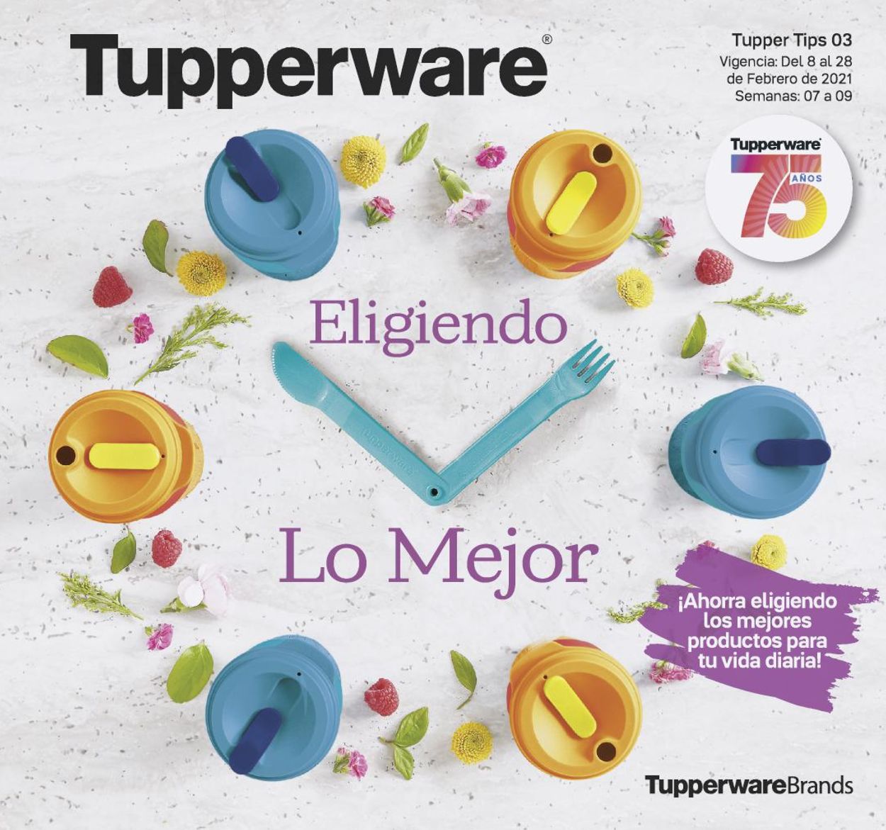 Tupperware Folleto - 08.02-28.02.2021