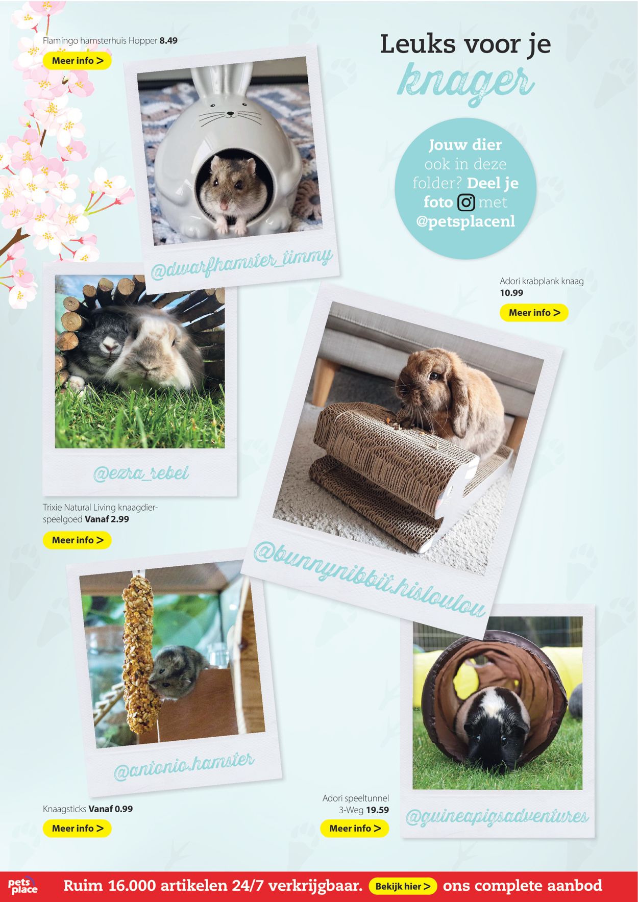 Pets Place Folder - 26.04-09.05.2021 (Pagina 18)