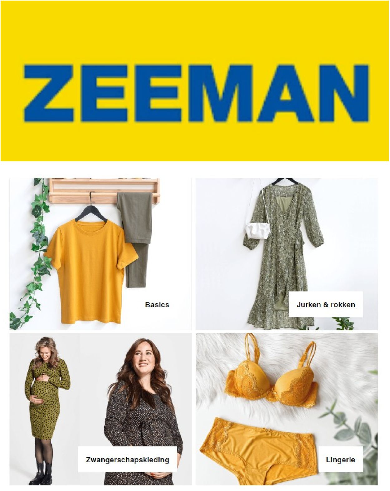Zeeman Folder - 22.07-18.08.2022