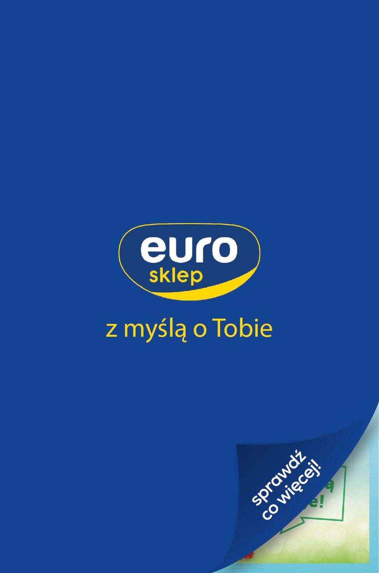 Gazetka promocyjna Euro Sklep - 13.07-25.07.2023 (Strona 5)