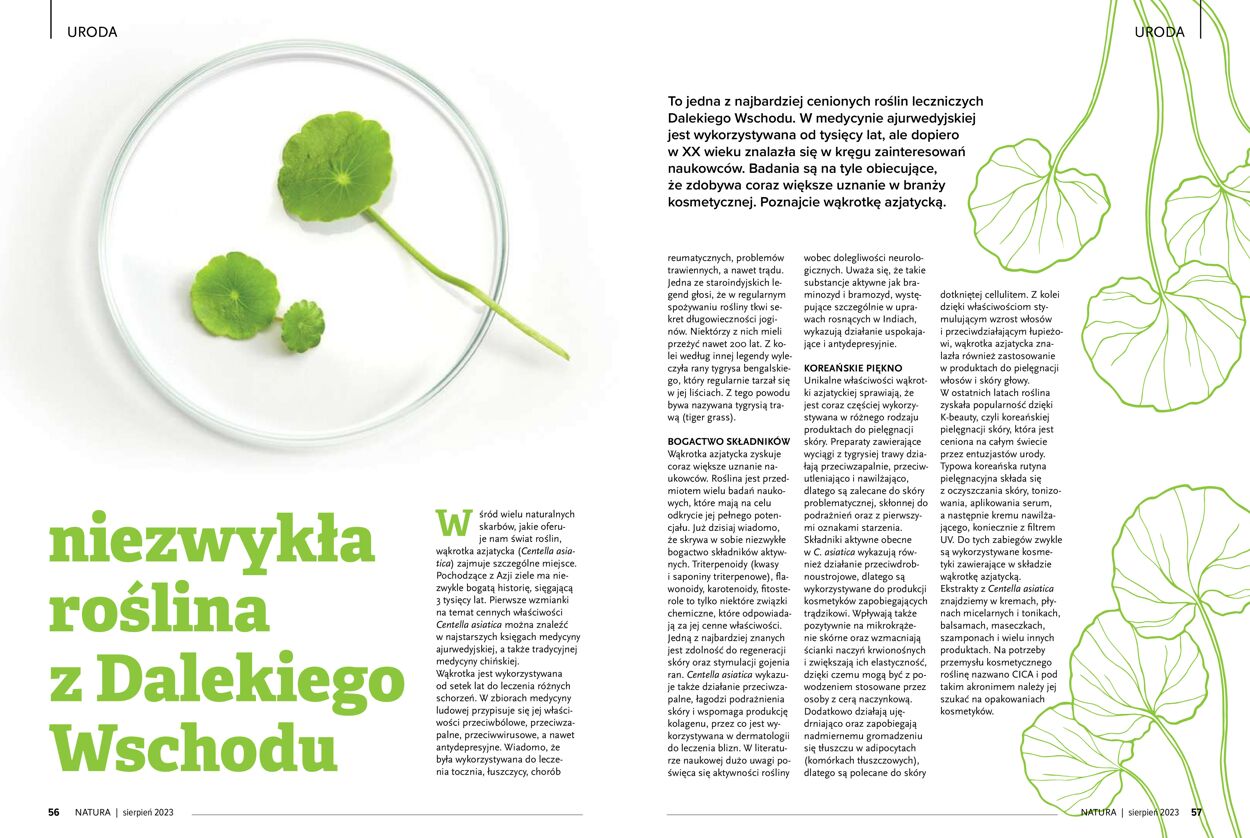 Gazetka promocyjna Natura - 01.08-31.08.2023 (Strona 29)