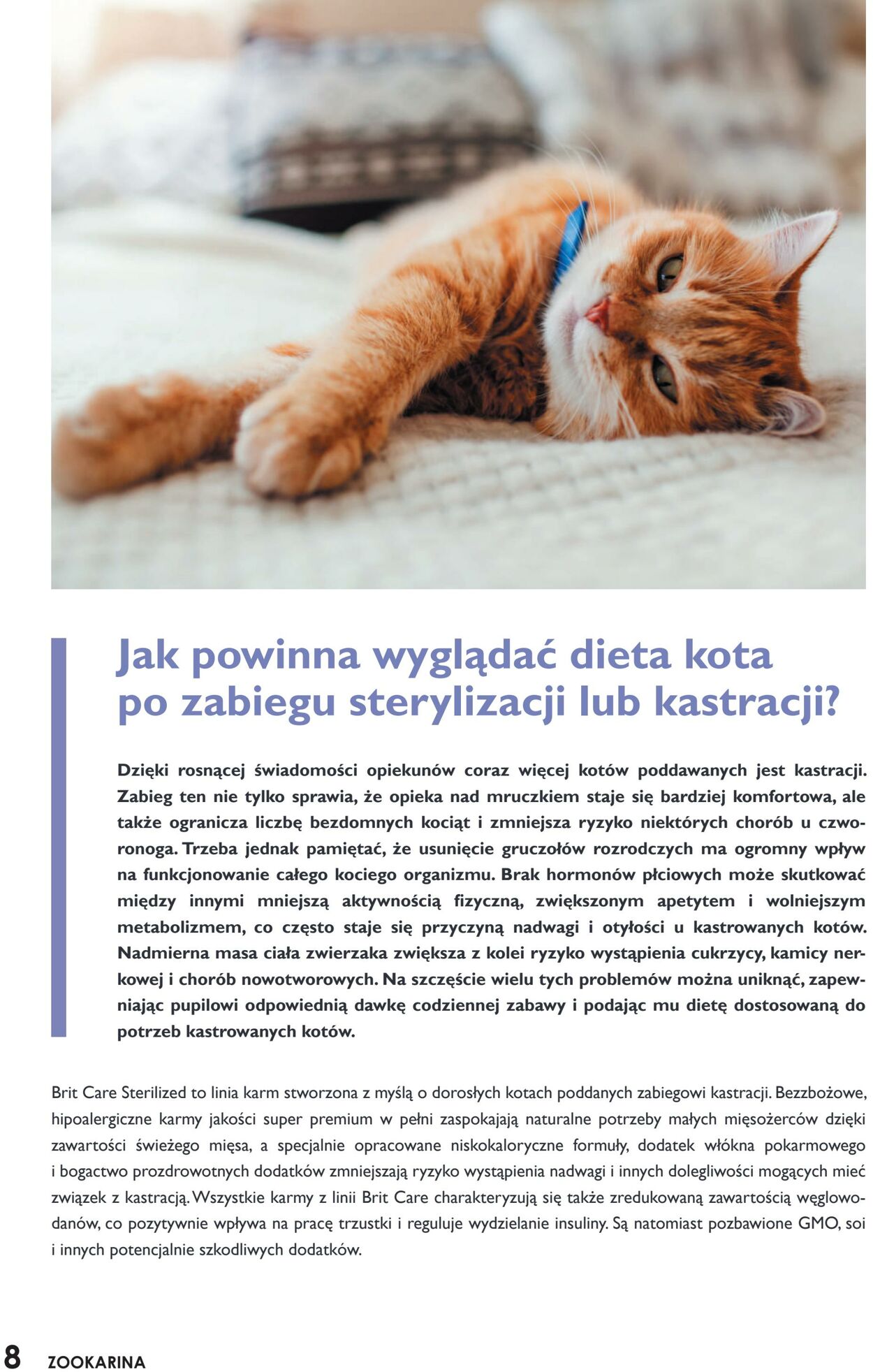 Gazetka promocyjna ZOO Karina - 01.10-31.10.2022 (Strona 8)