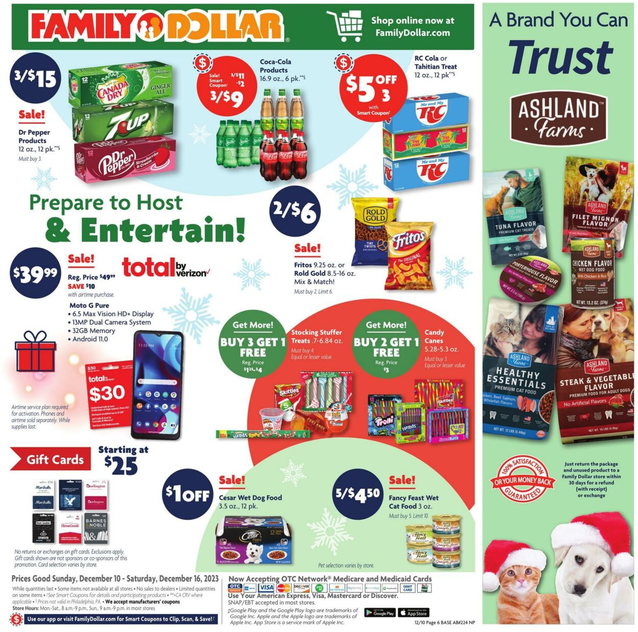 Family Dollar Weekly Ad Circular - valid 12/10-12/16/2023 (Page 8)