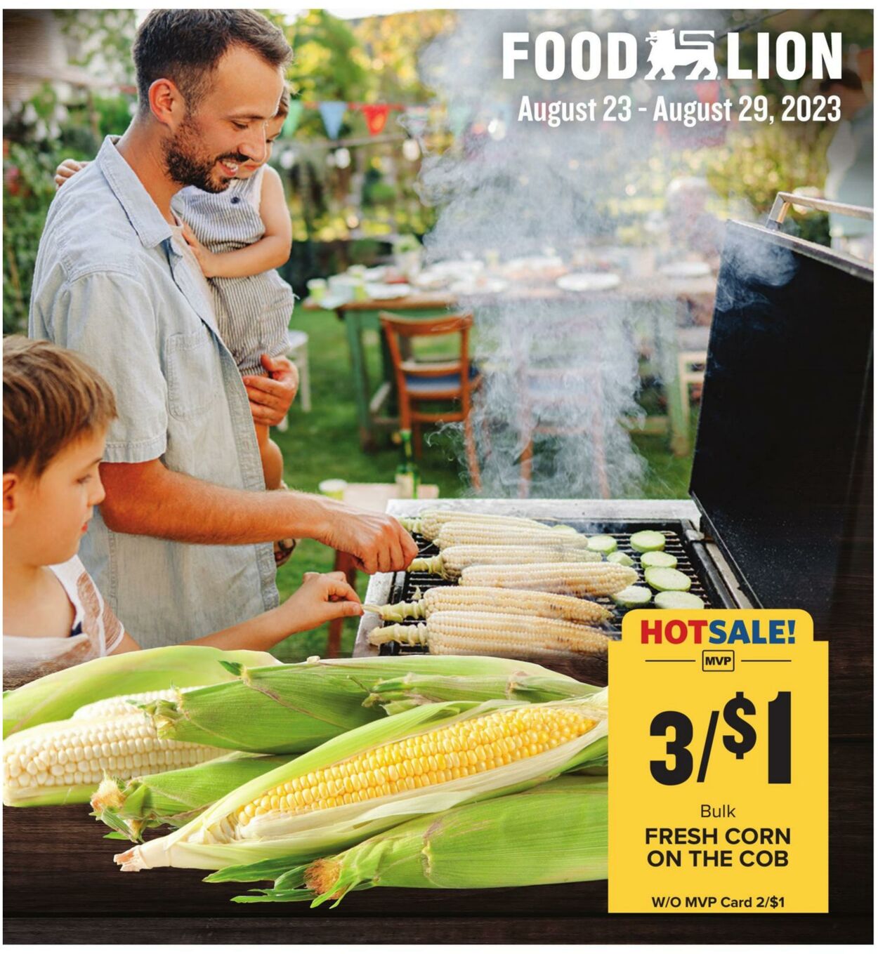 Food Lion Weekly Ad Circular - valid 08/23-08/29/2023 (Page 15)