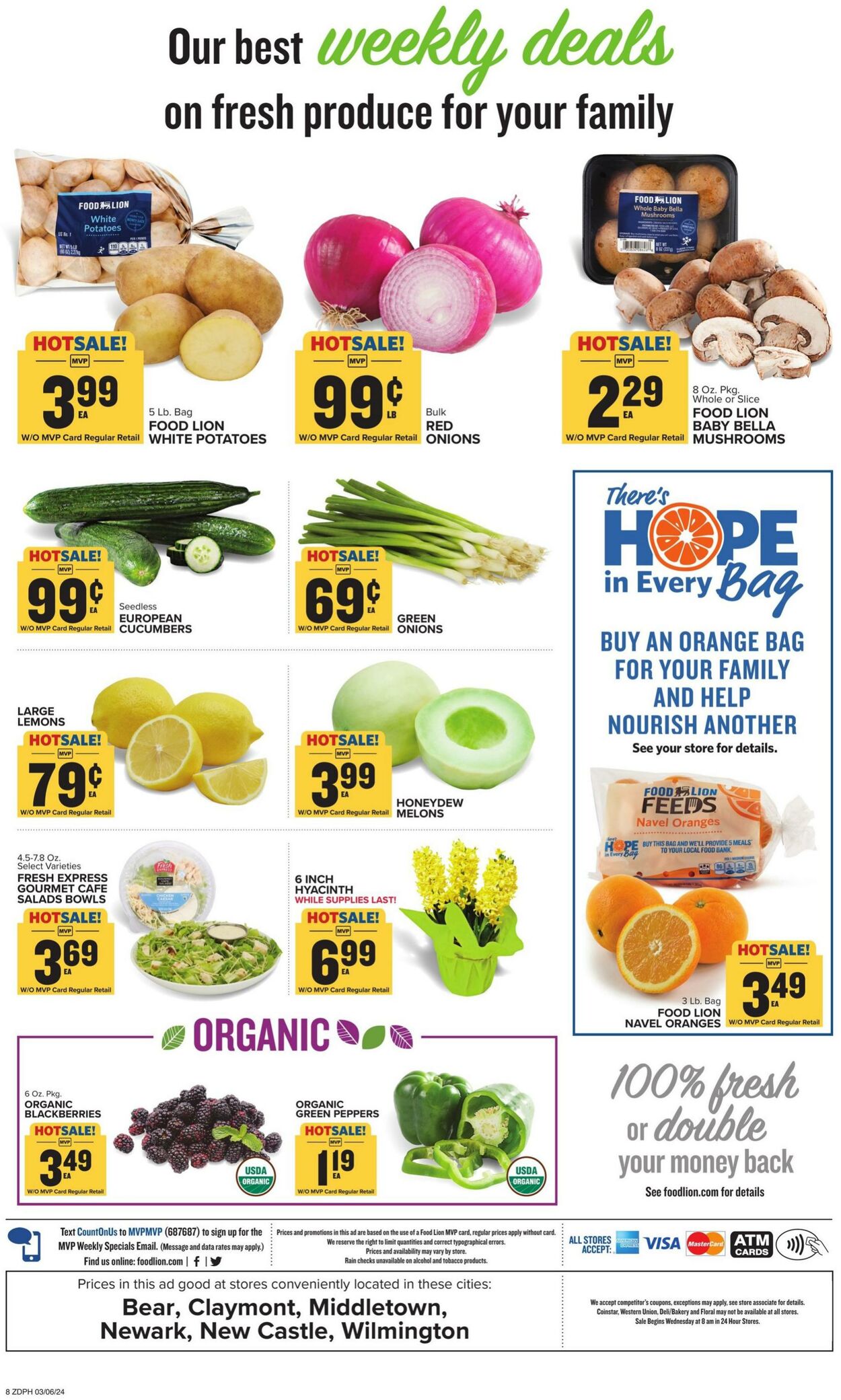 Food Lion Weekly Ad Circular - valid 03/06-03/12/2024 (Page 13)