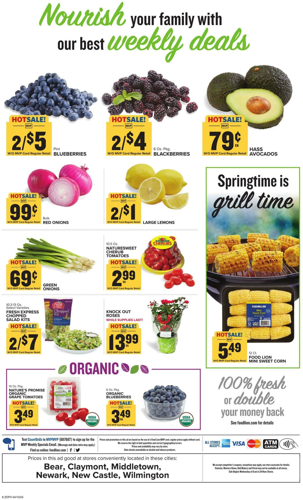 Food Lion Weekly Ad Circular - valid 04/10-04/16/2024 (Page 10)