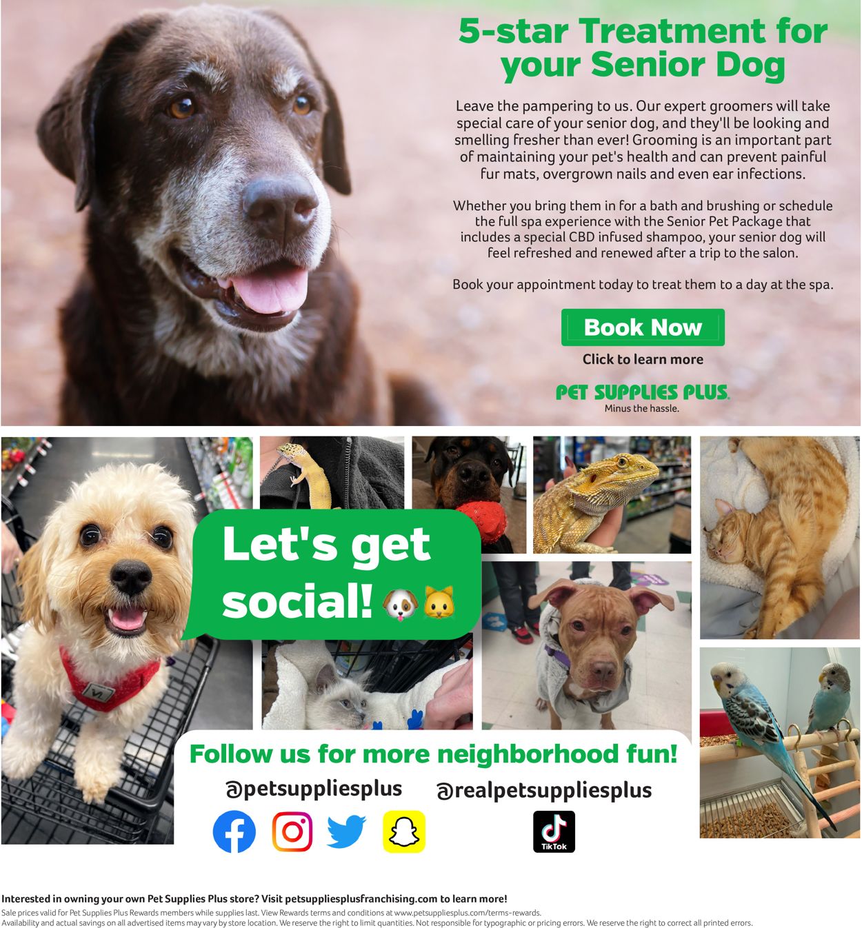 Pet Supplies Plus Weekly Ad Circular - valid 02/24-03/30/2022 (Page 6)