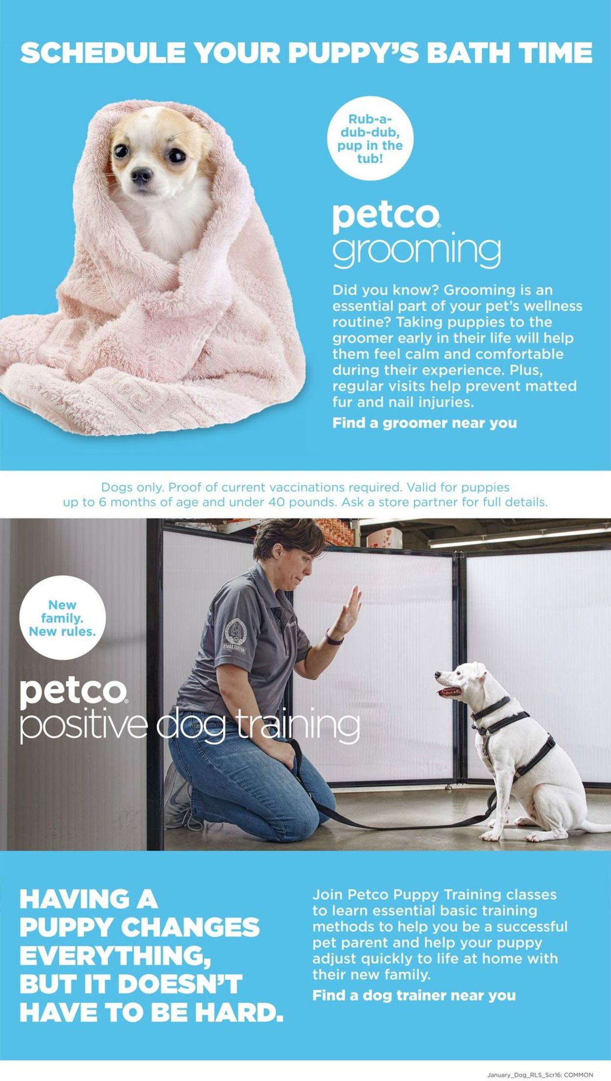 Petco Weekly Ad Circular - valid 12/26-02/01/2021 (Page 16)