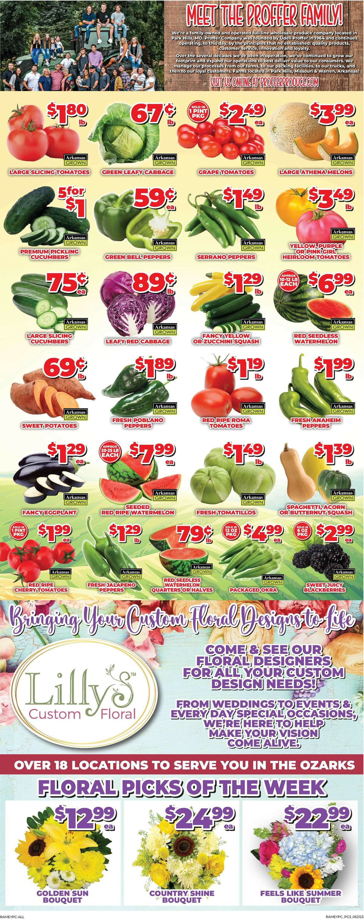 Price Cutter Weekly Ad Circular - valid 06/21-06/27/2023 (Page 3)