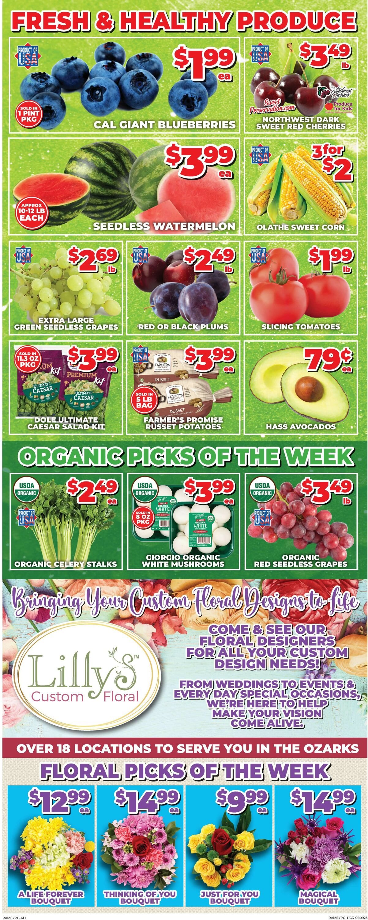 Price Cutter Weekly Ad Circular - valid 08/09-08/15/2023 (Page 3)