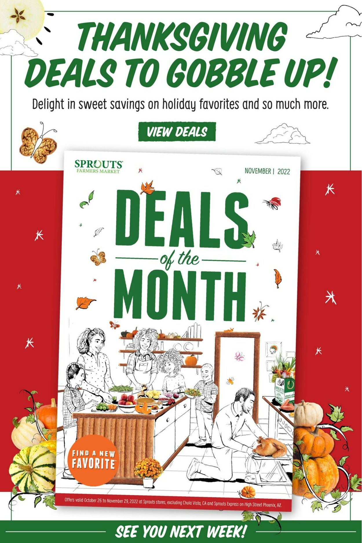 Sprouts Weekly Ad Circular - valid 11/16-11/24/2022 (Page 15)